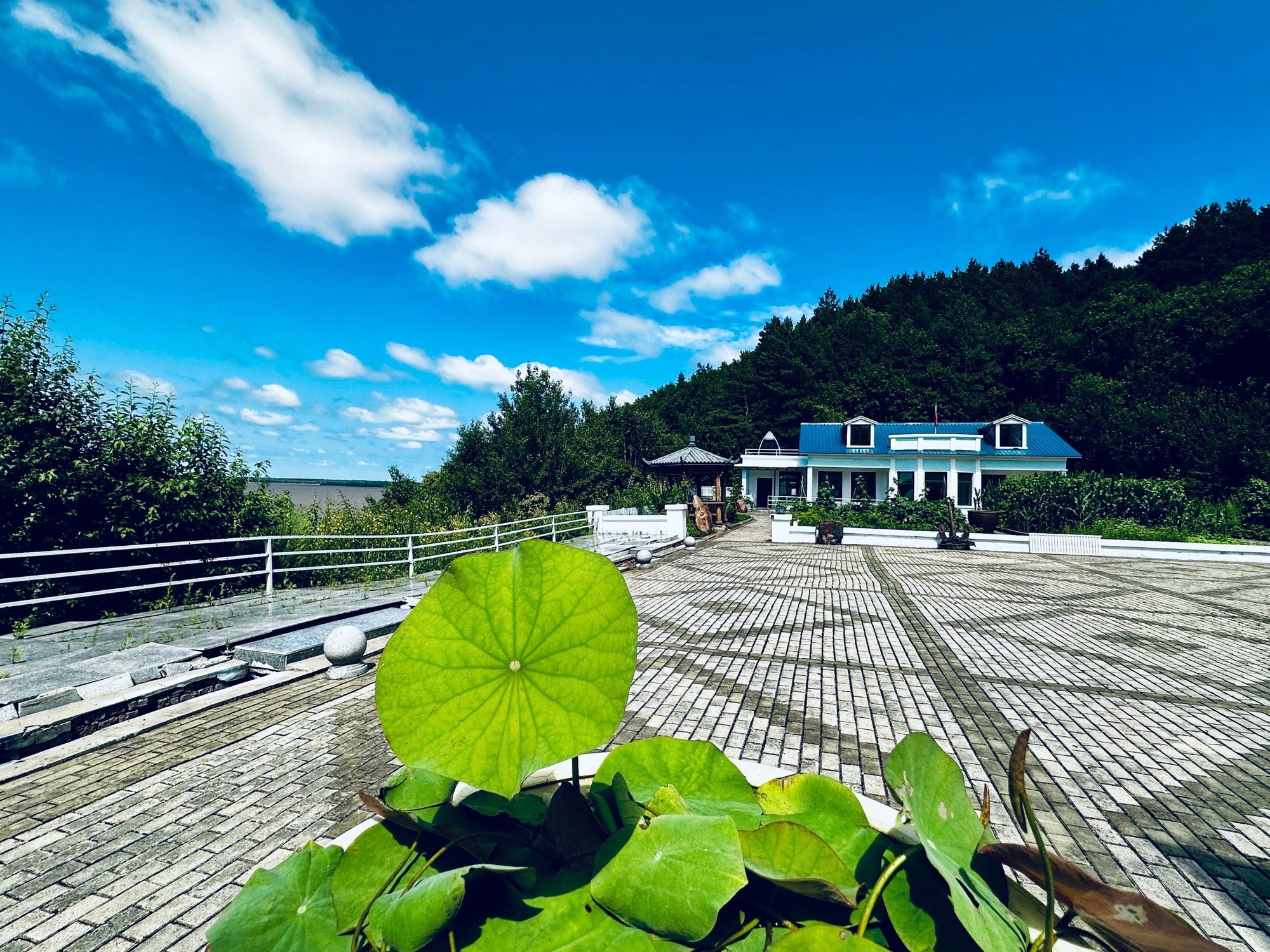 东兴城公园旅行图片 3