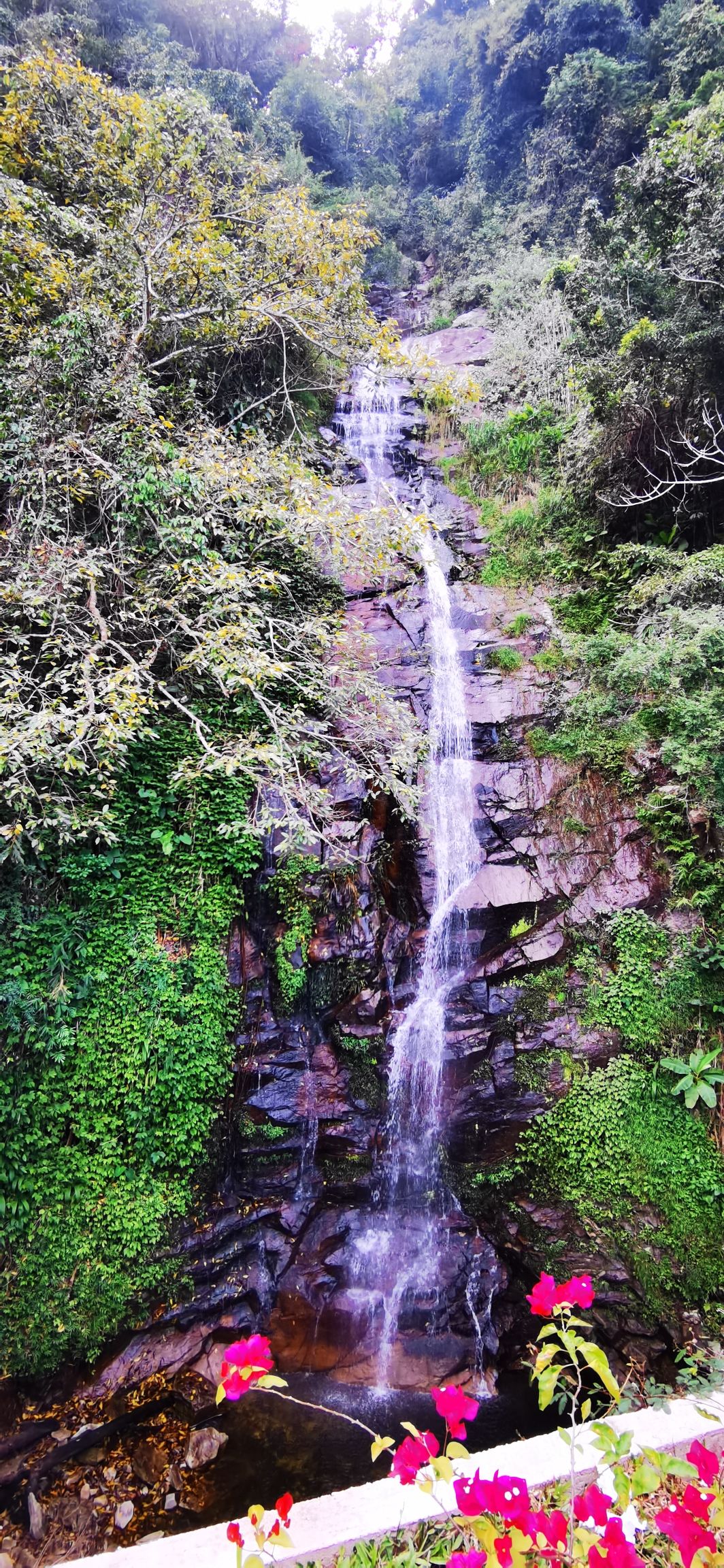 鹦哥岭瀑布