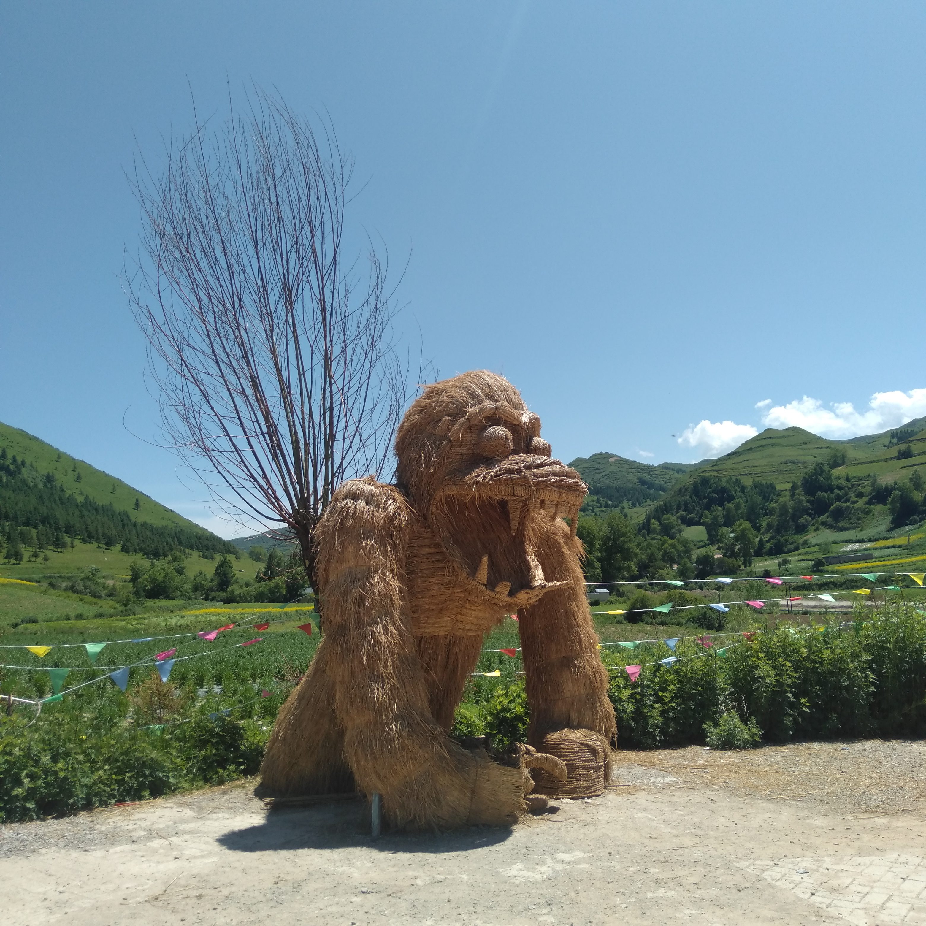 岷县牧马滩景区