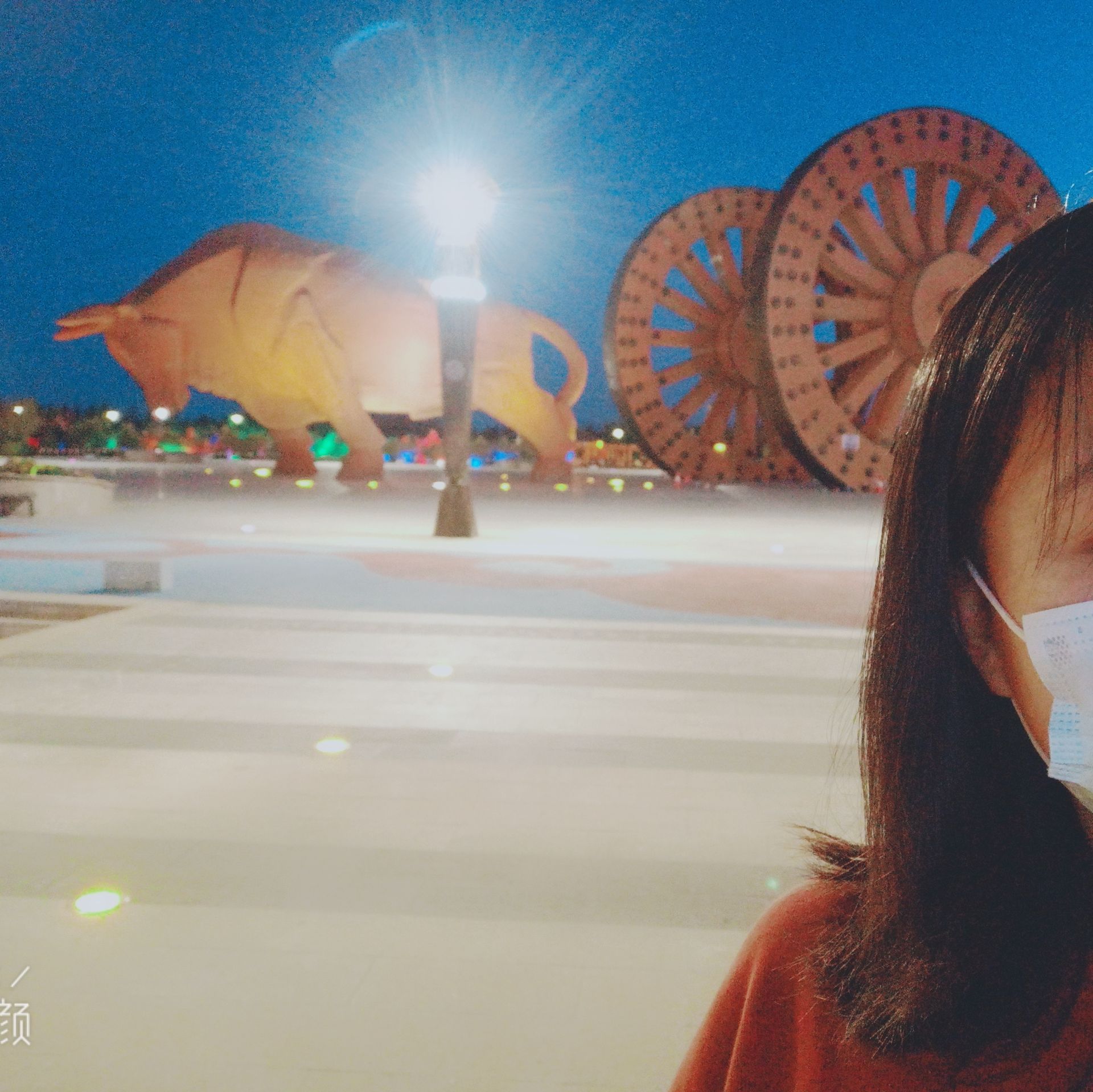 劲牛广场旅行图片 1