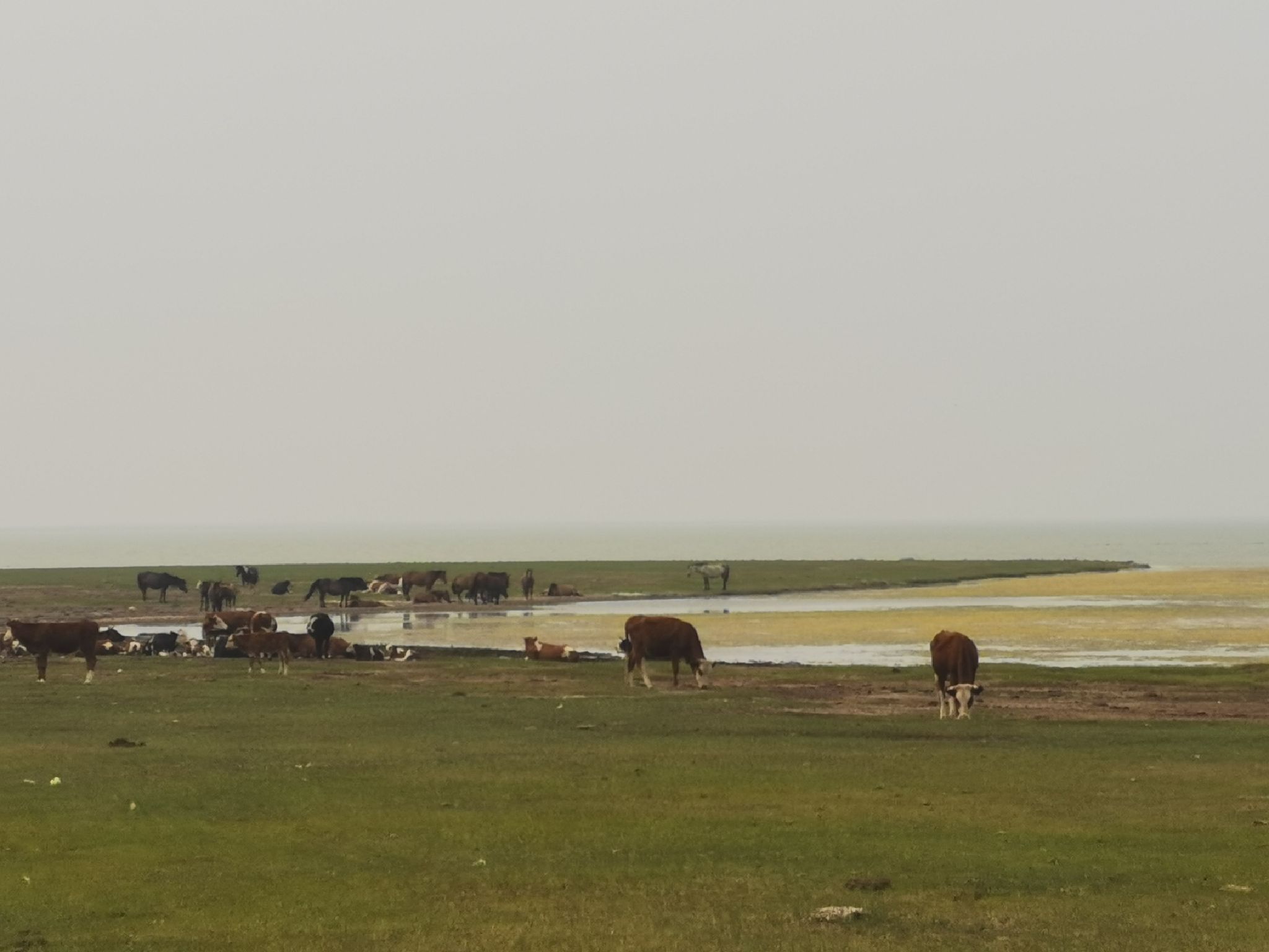 爱琴岛旅行图片 1