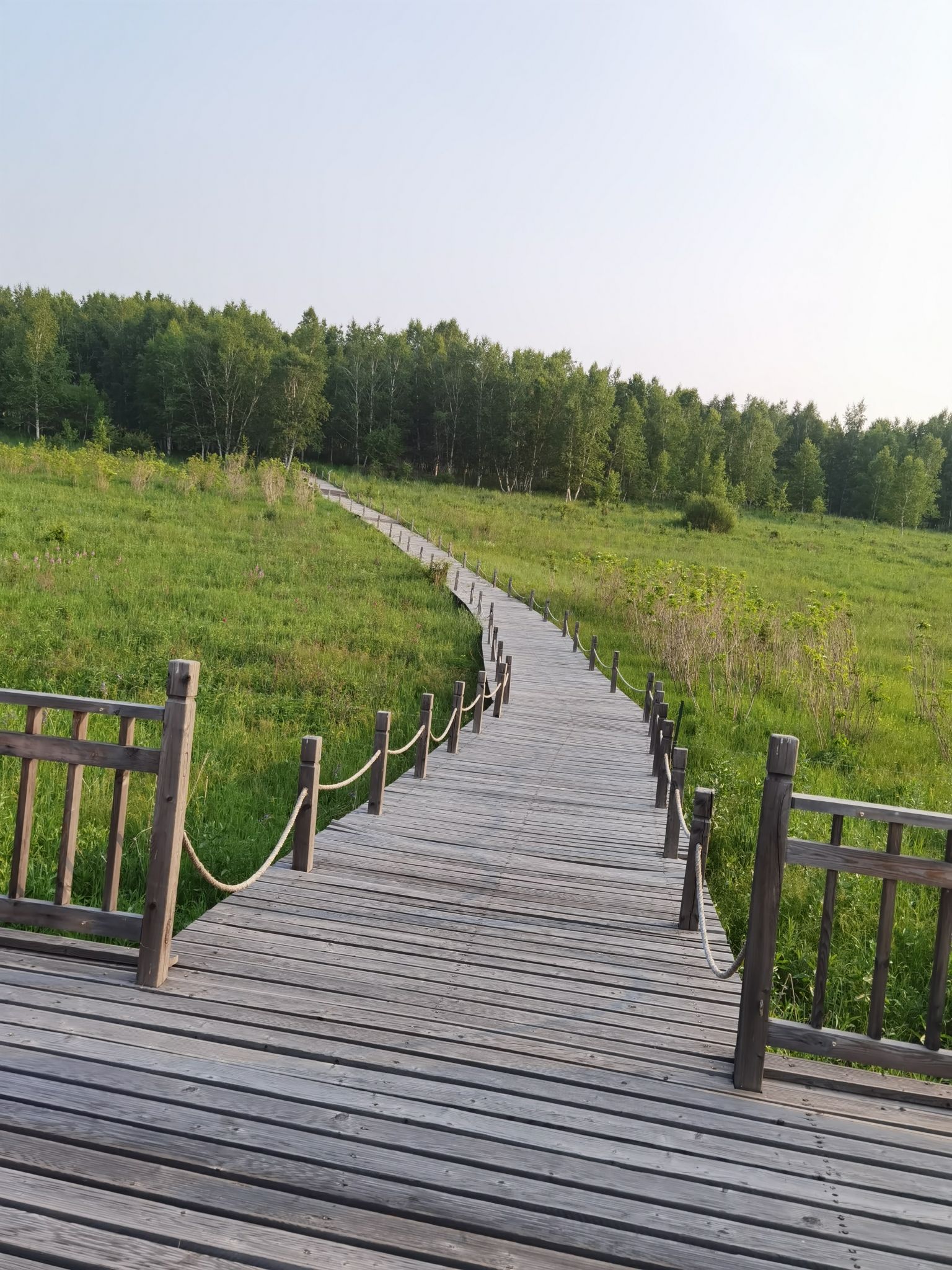 内蒙古免渡河国家湿地公园旅行图片 3