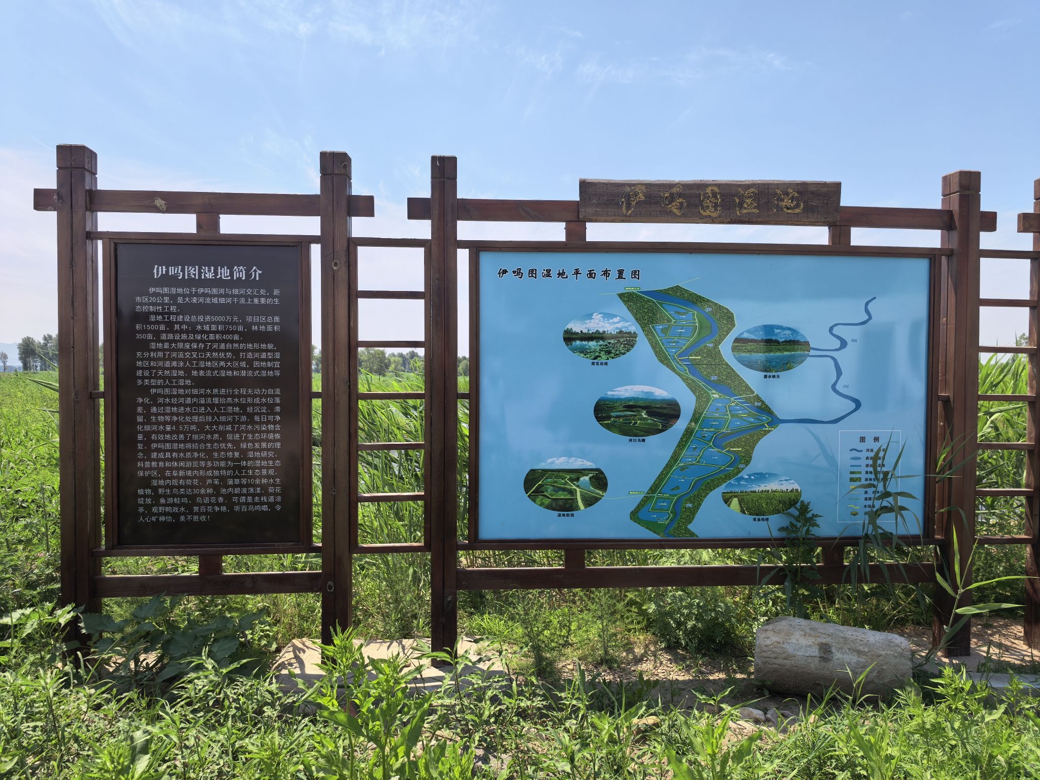 伊码图湿地公园