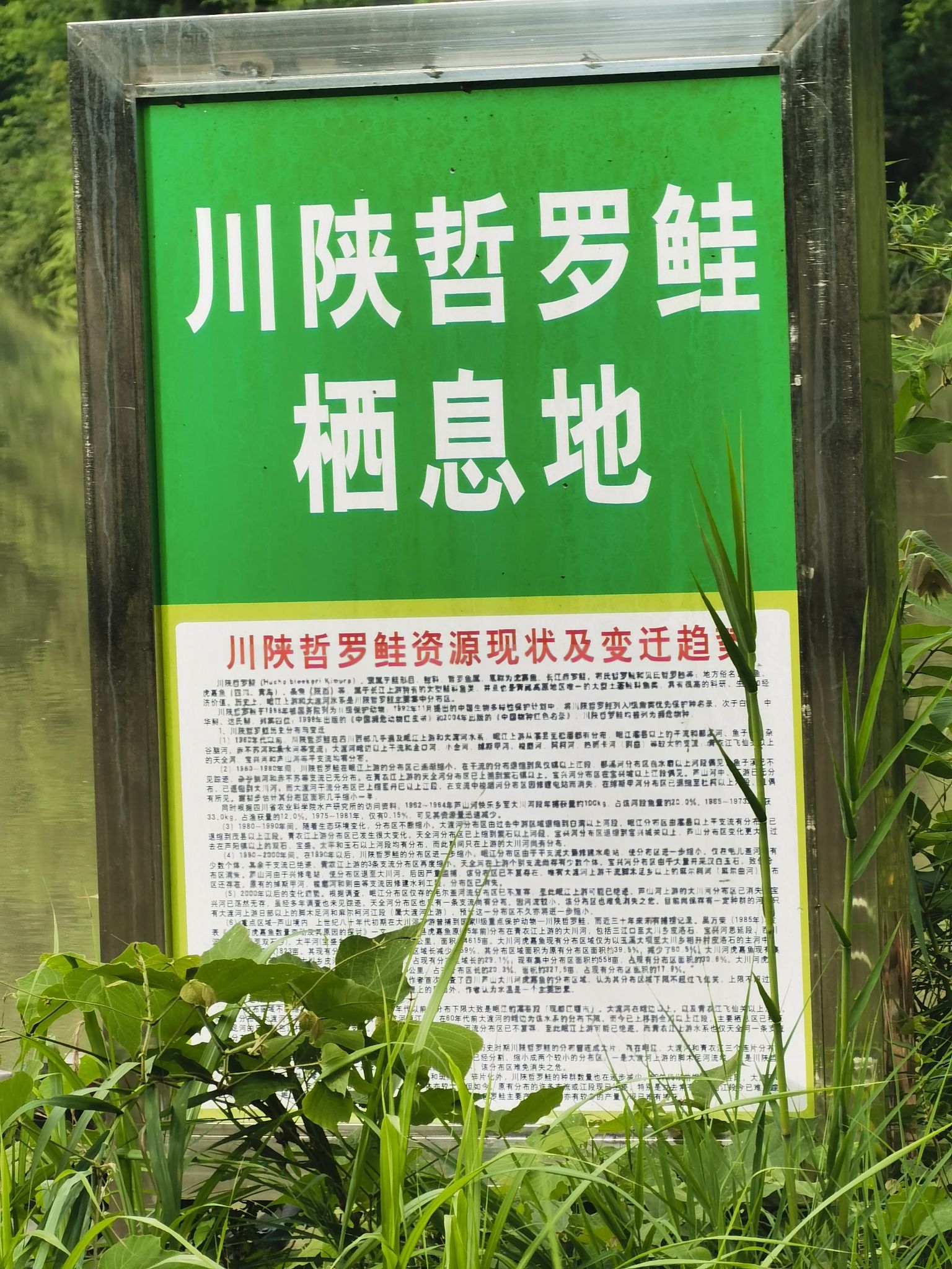 拐子坨水库风景区旅行图片 2