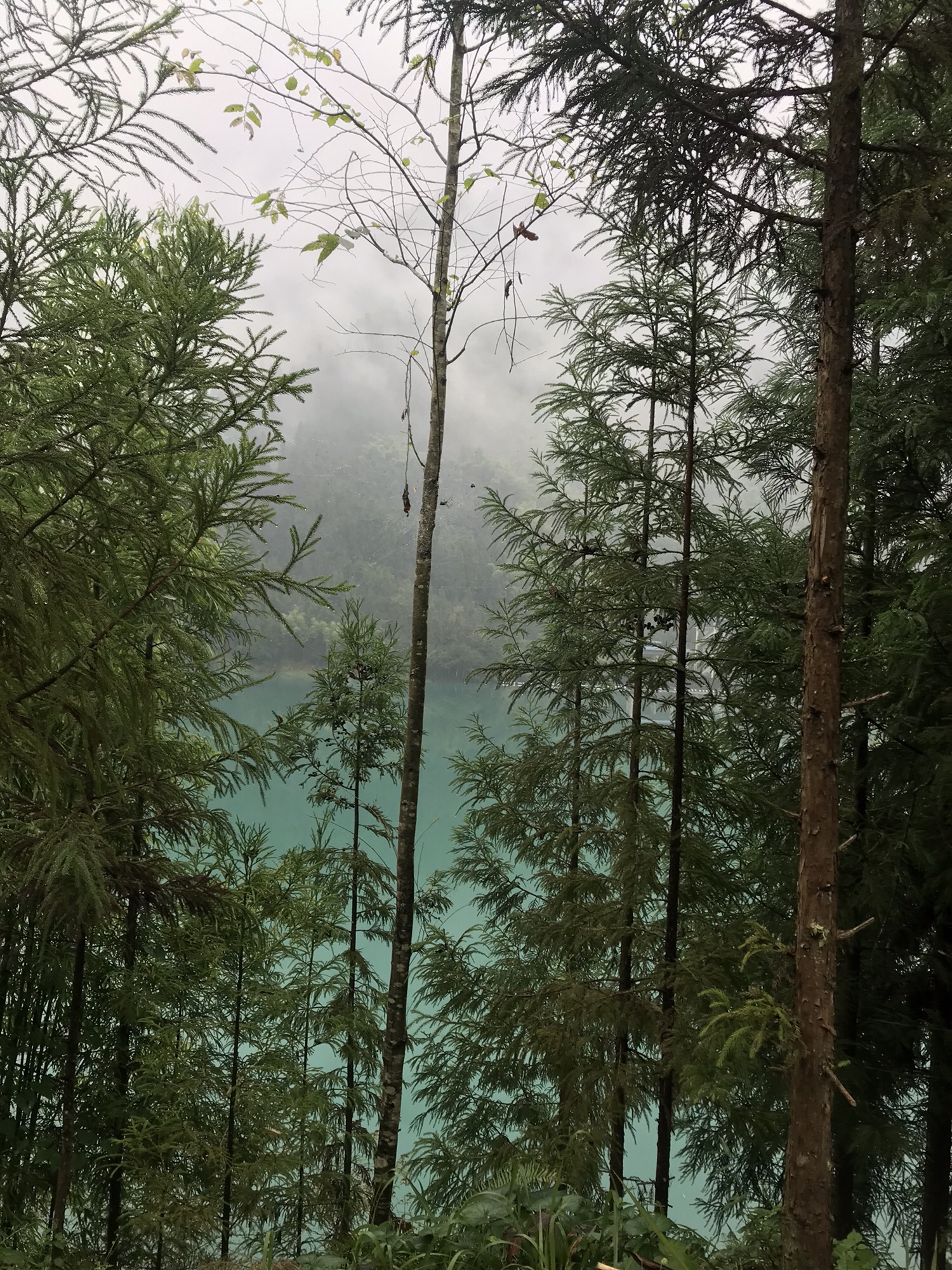 拐子坨水库风景区旅行图片 3