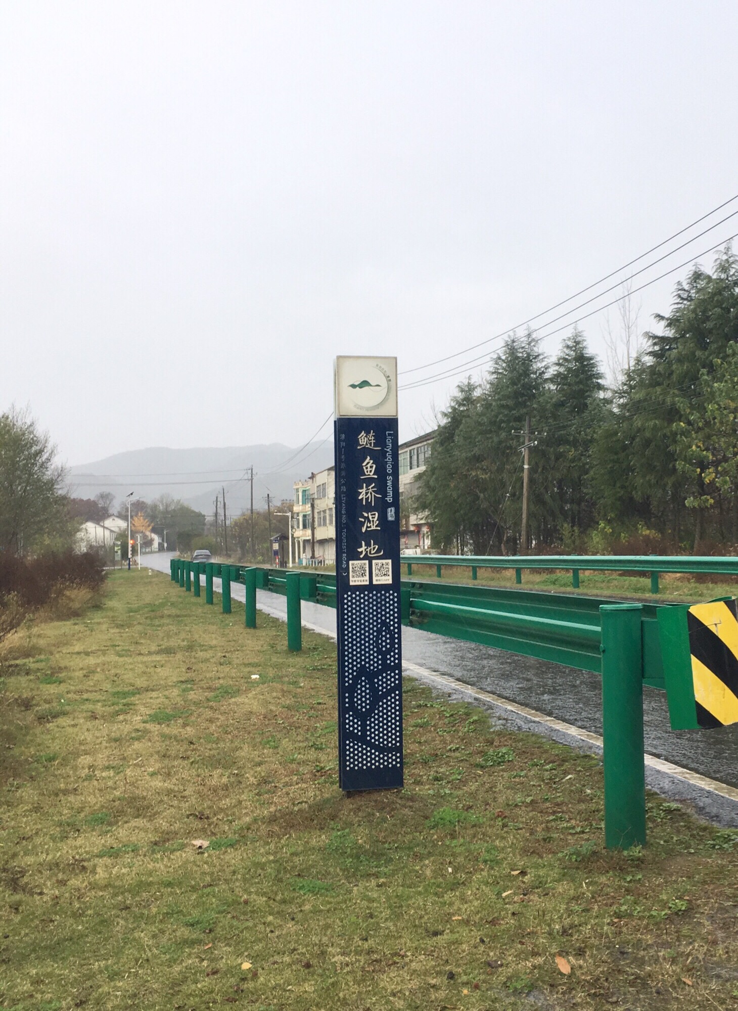 鲢鱼桥湿地旅行图片 1
