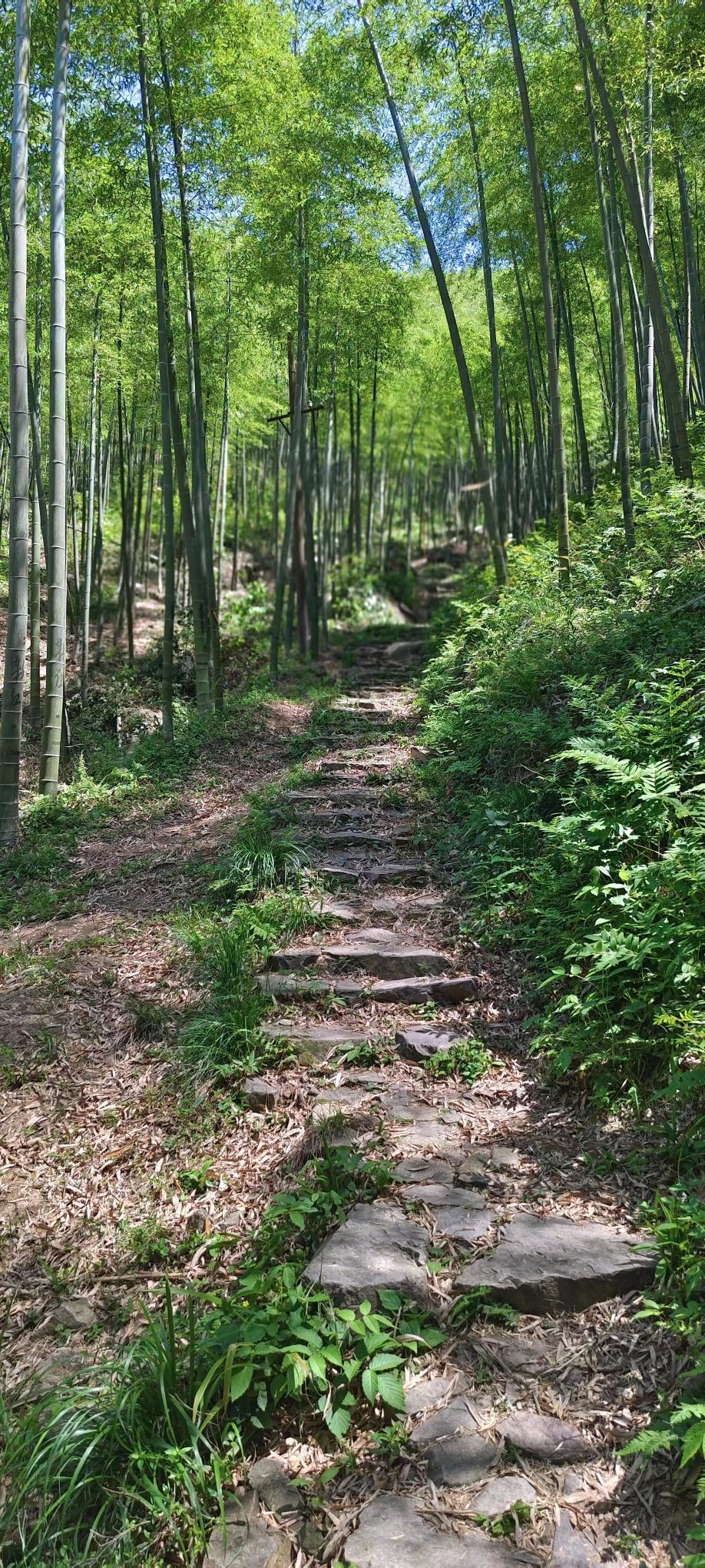 天字山生态旅游风景区