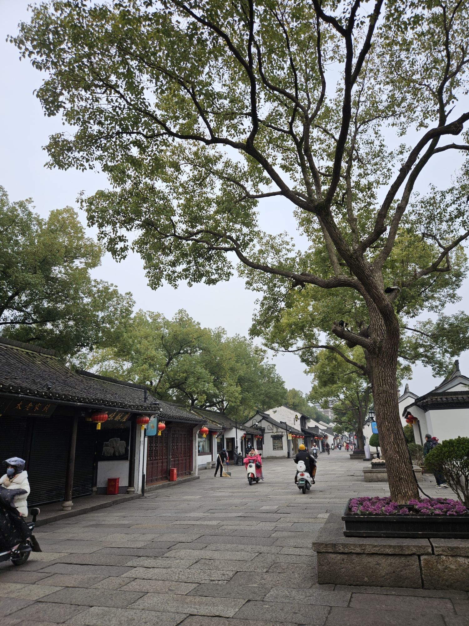 绍兴老街旅行图片 1