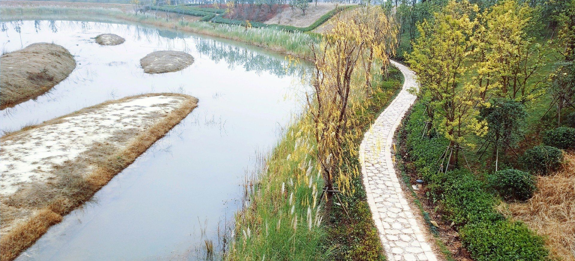 玲岗湿地公园旅行图片 3