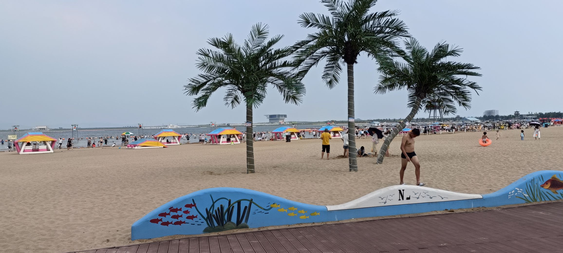 宁波滨海万人沙滩旅行图片 1