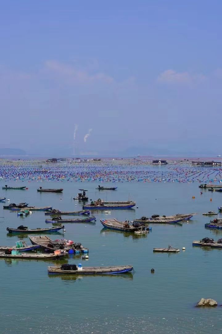 宁波滨海万人沙滩旅行图片 3