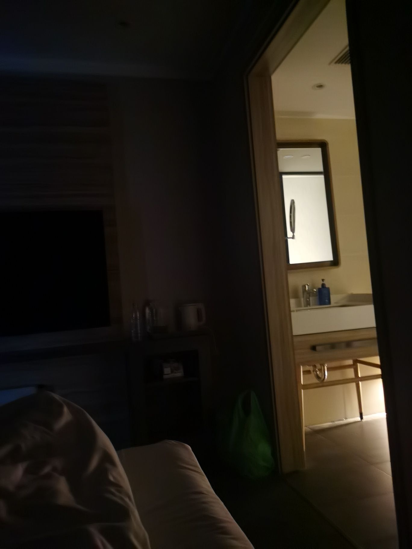 鸭绿江湿地(暂停开放)旅行图片 1