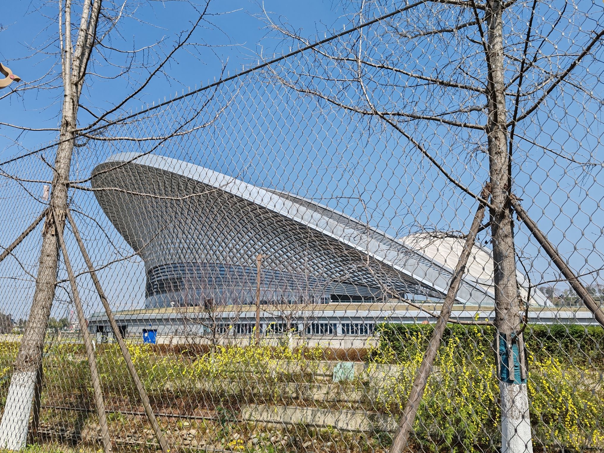 成都露天音乐公园旅行图片 3