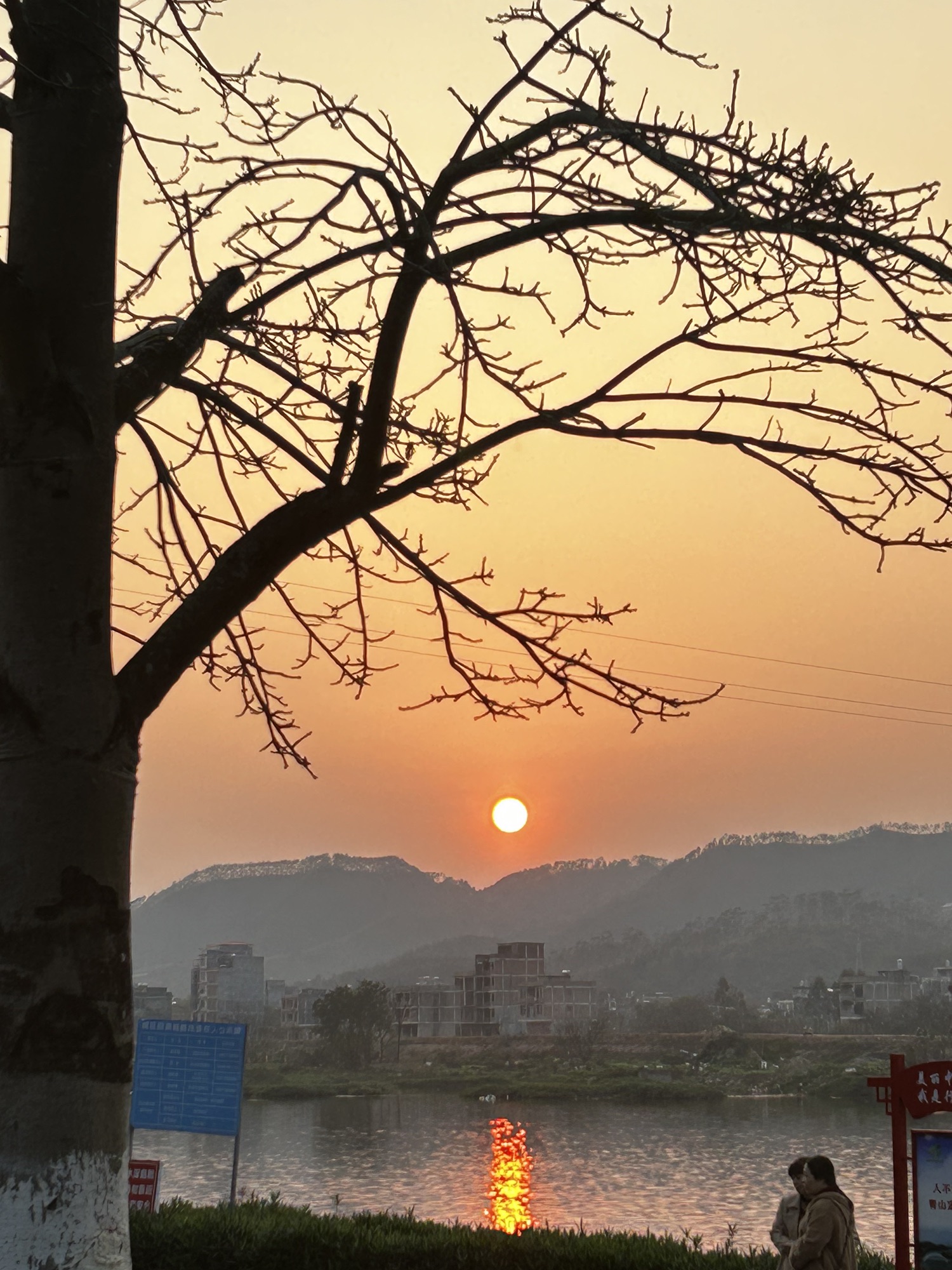 江滨公园旅行图片 2