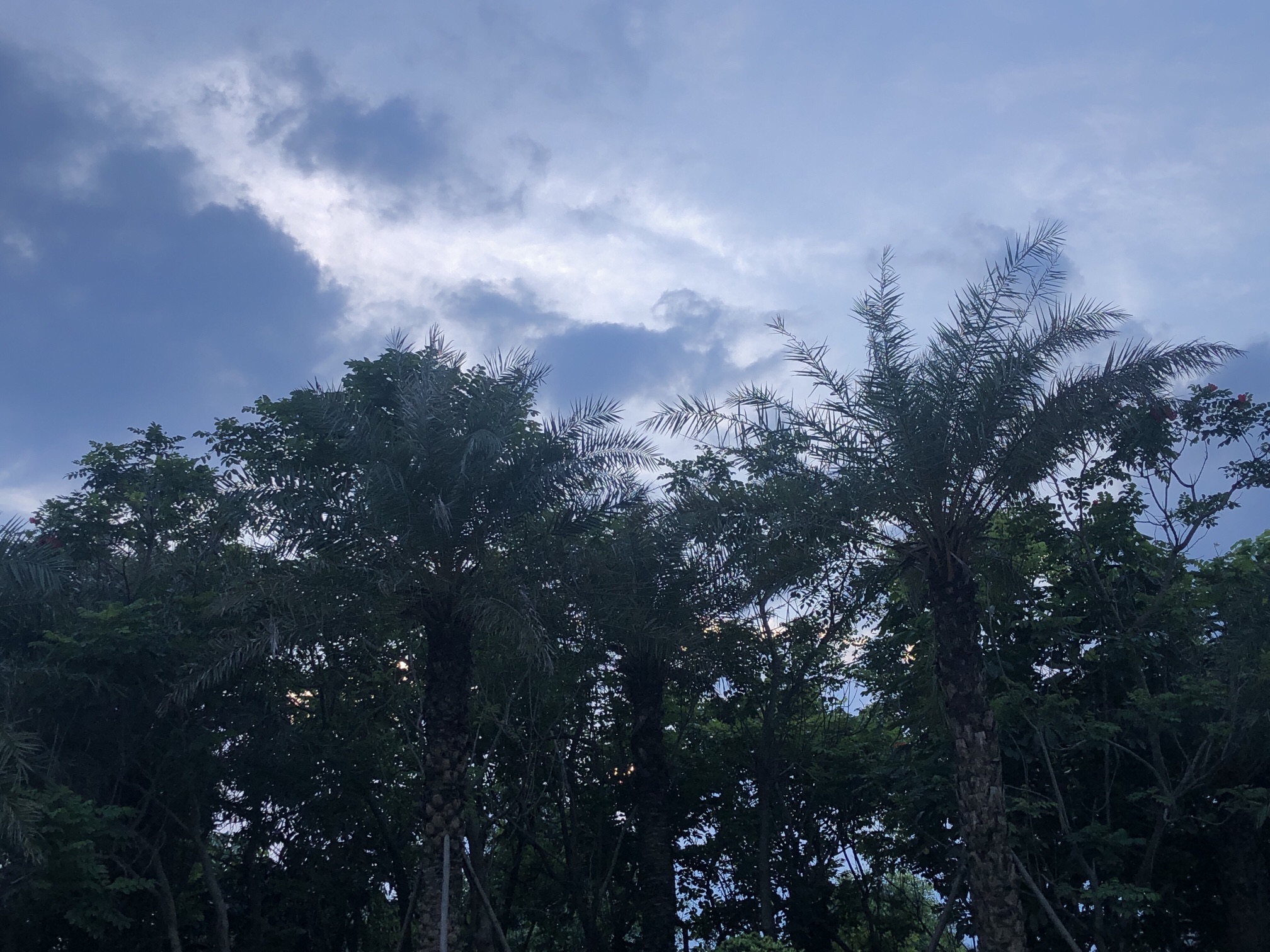 江滨公园旅行图片 3