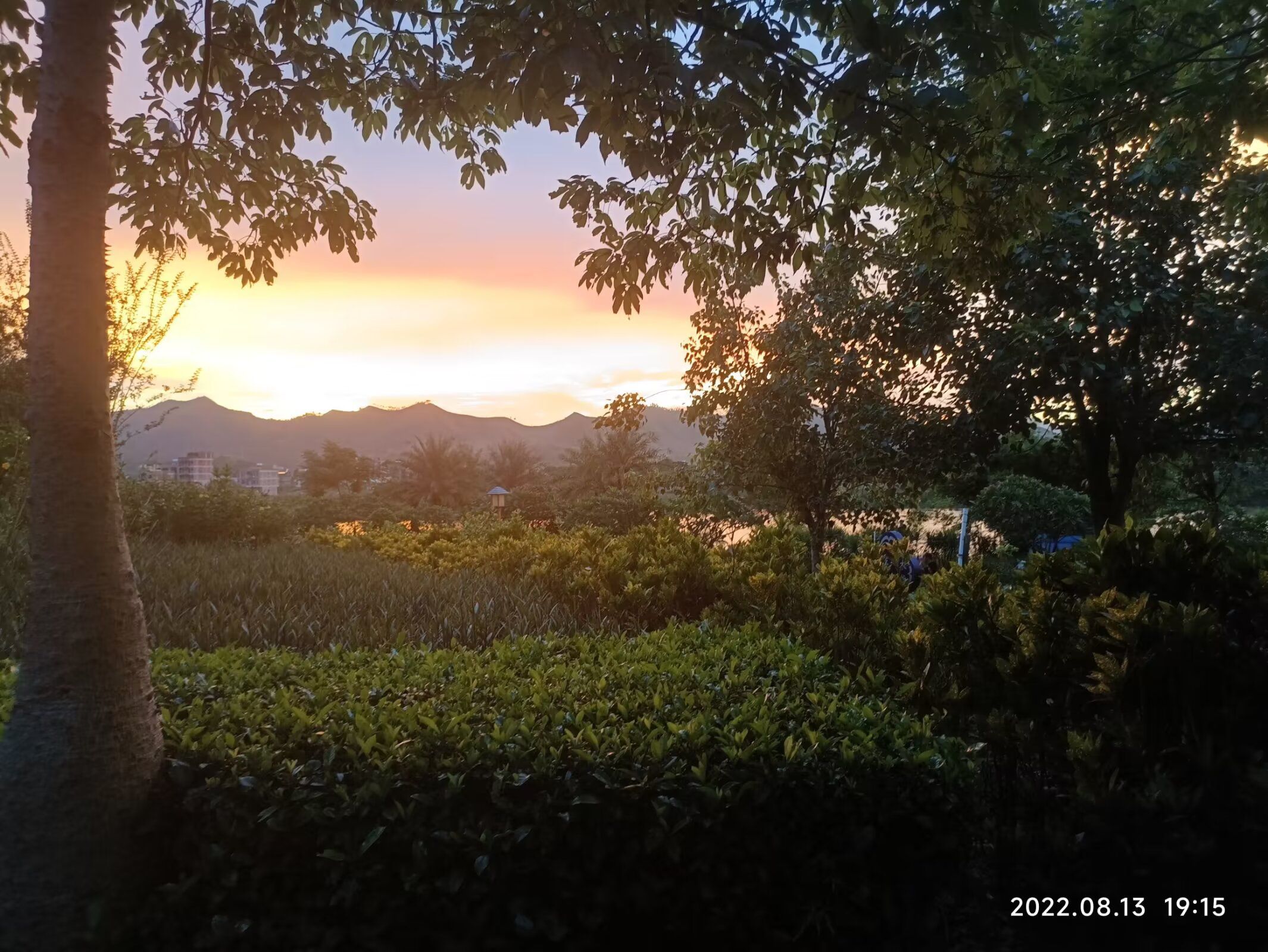江滨公园旅行图片 2