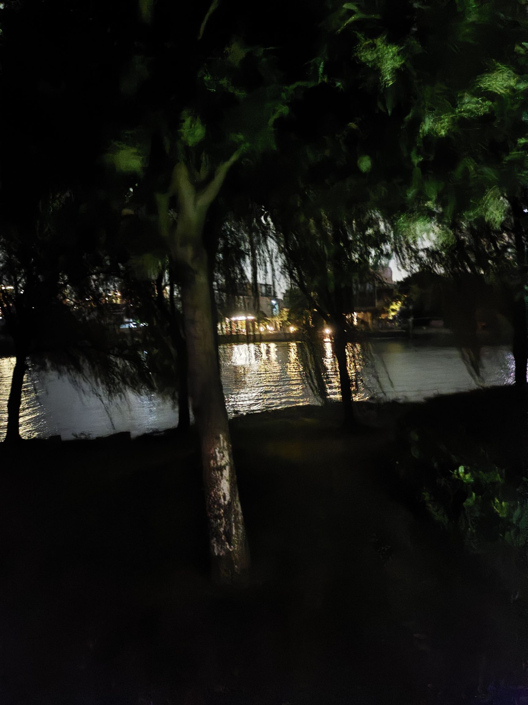 三白荡环湖生态公园旅行图片 1