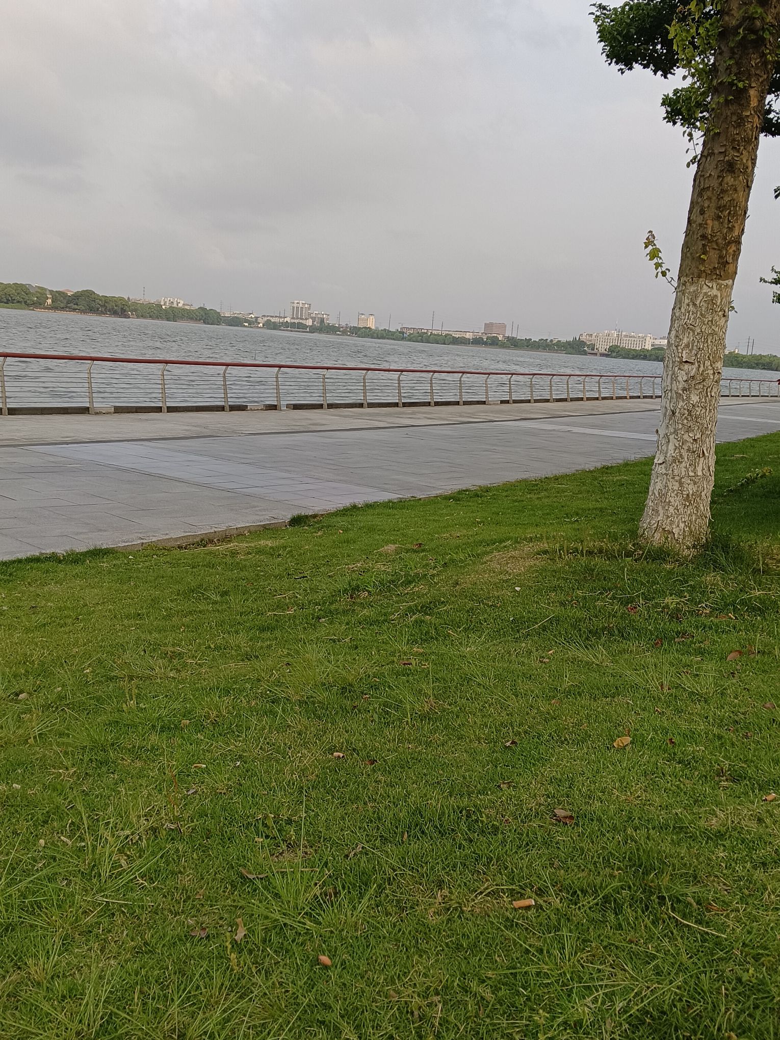 三白荡环湖生态公园旅行图片 2