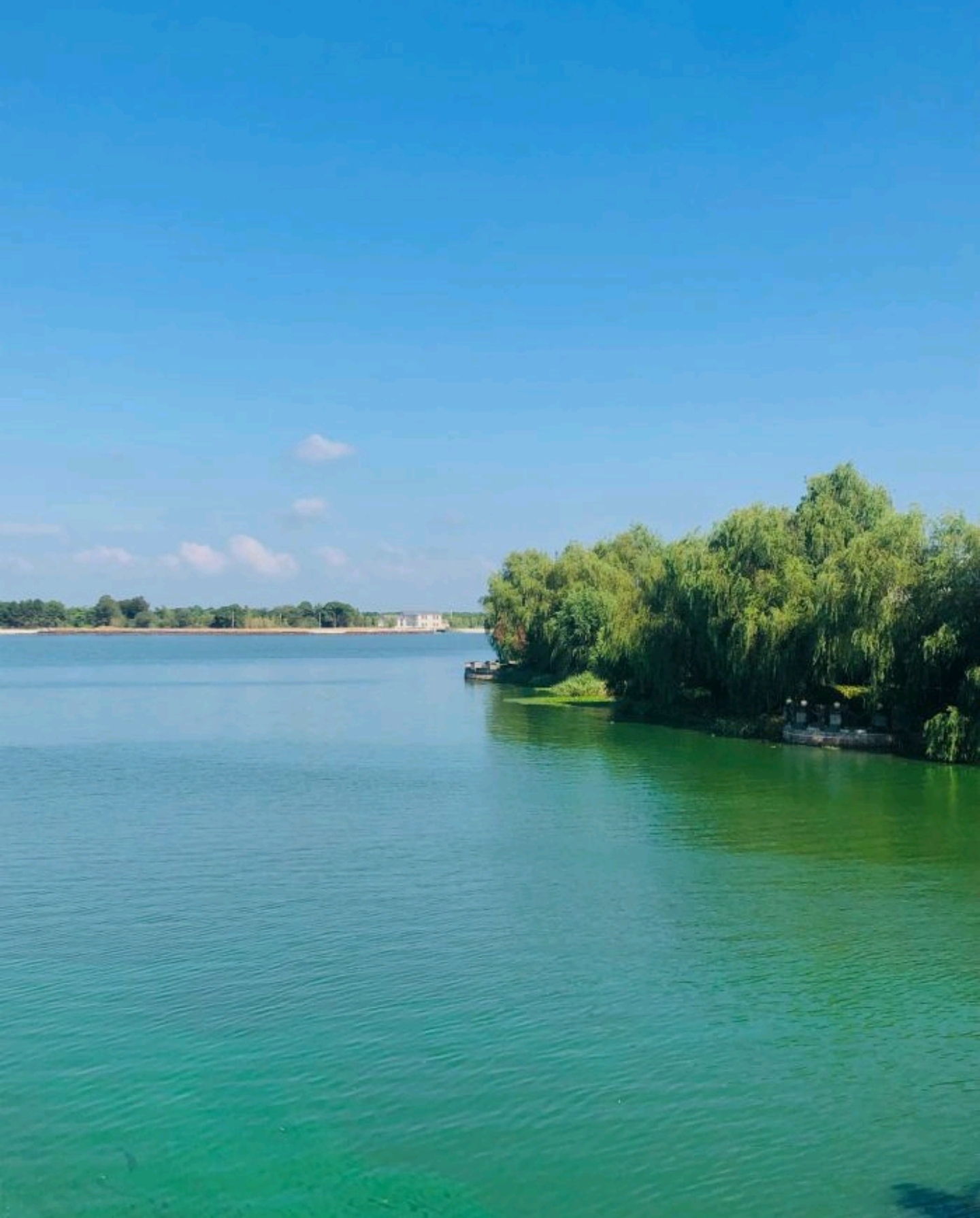 三白荡环湖生态公园旅行图片 3