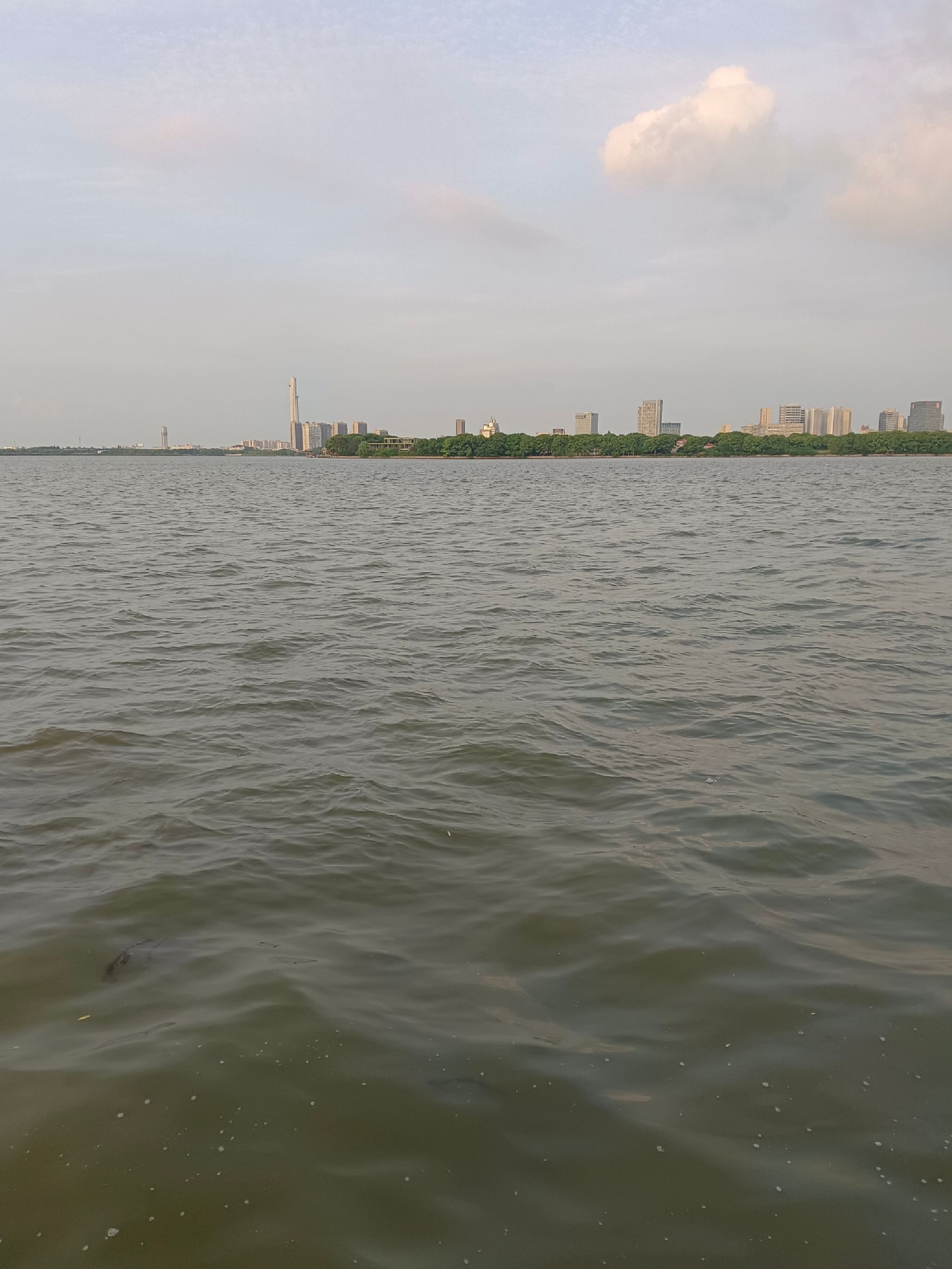 三白荡环湖生态公园旅行图片 3