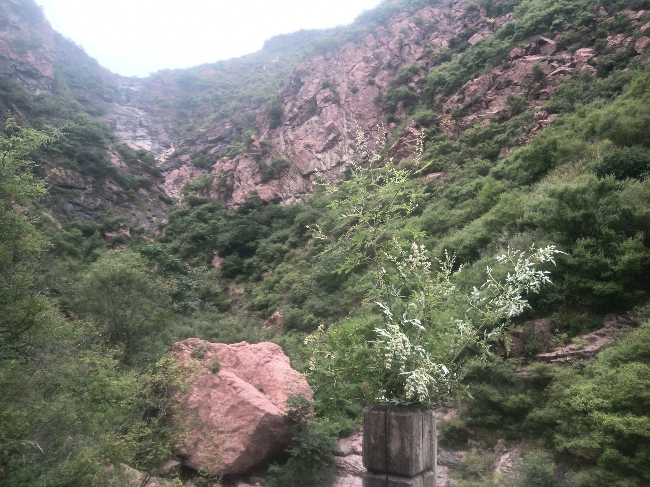 晋殿悬冰景区旅行图片 1
