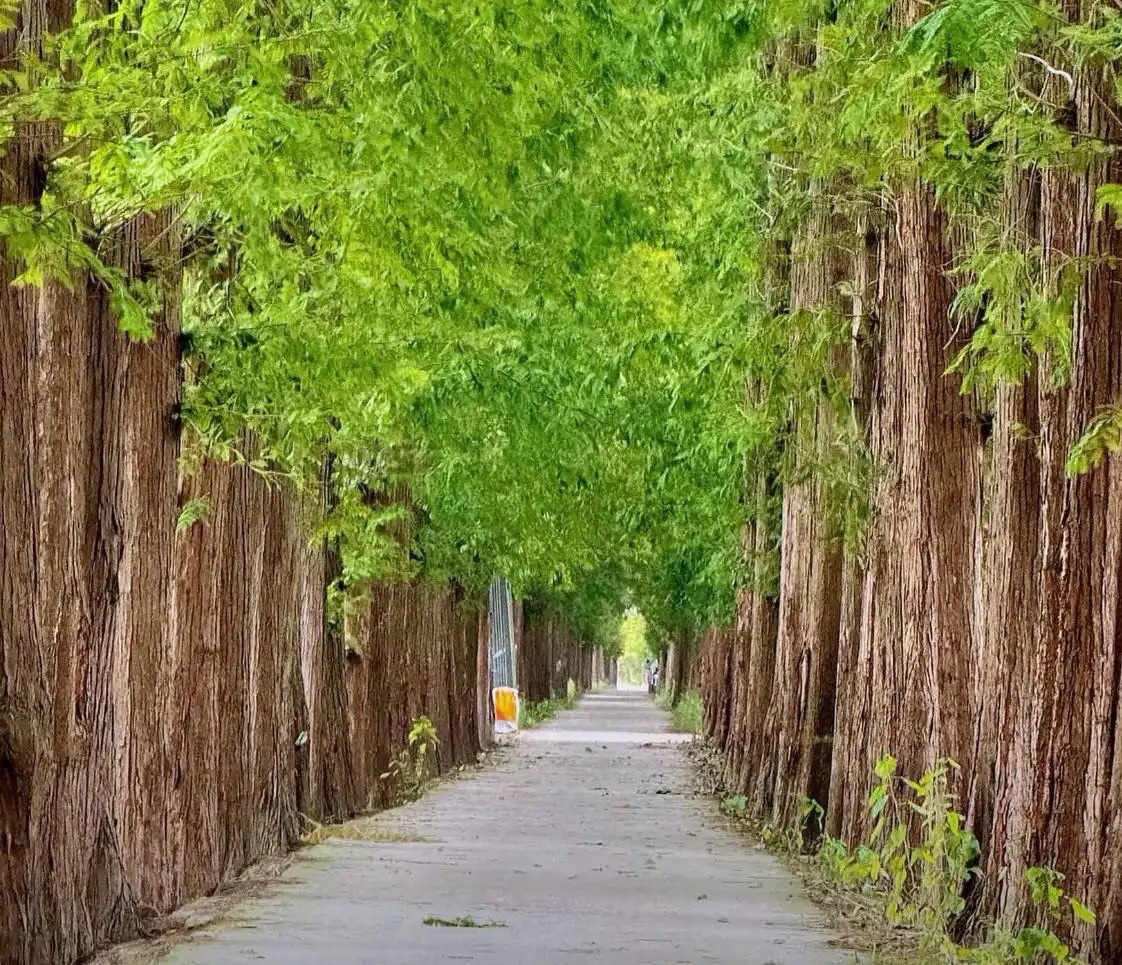 小南京乡村旅游扶贫示范区旅行图片 3