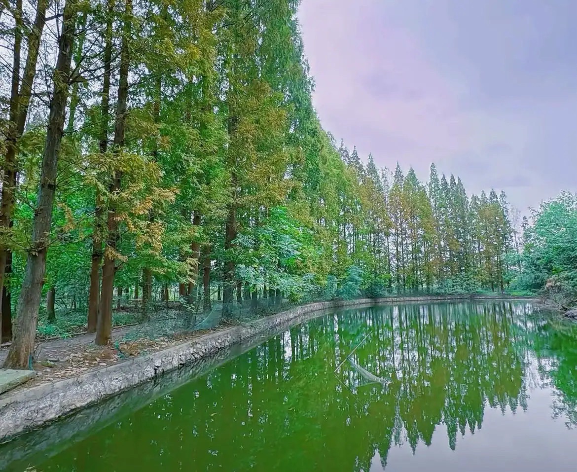 小南京乡村旅游扶贫示范区旅行图片