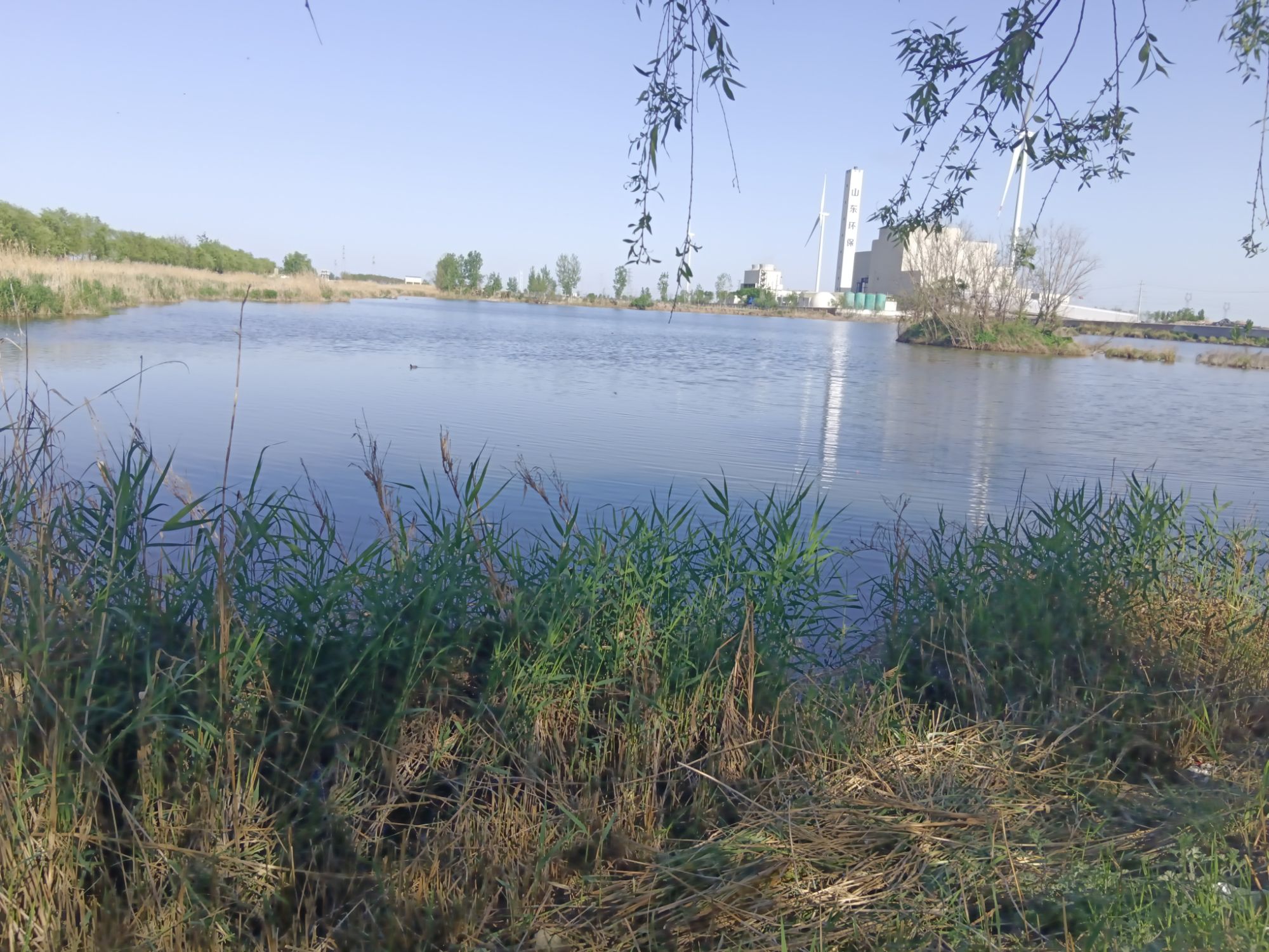 五里河湿地公园旅行图片 1