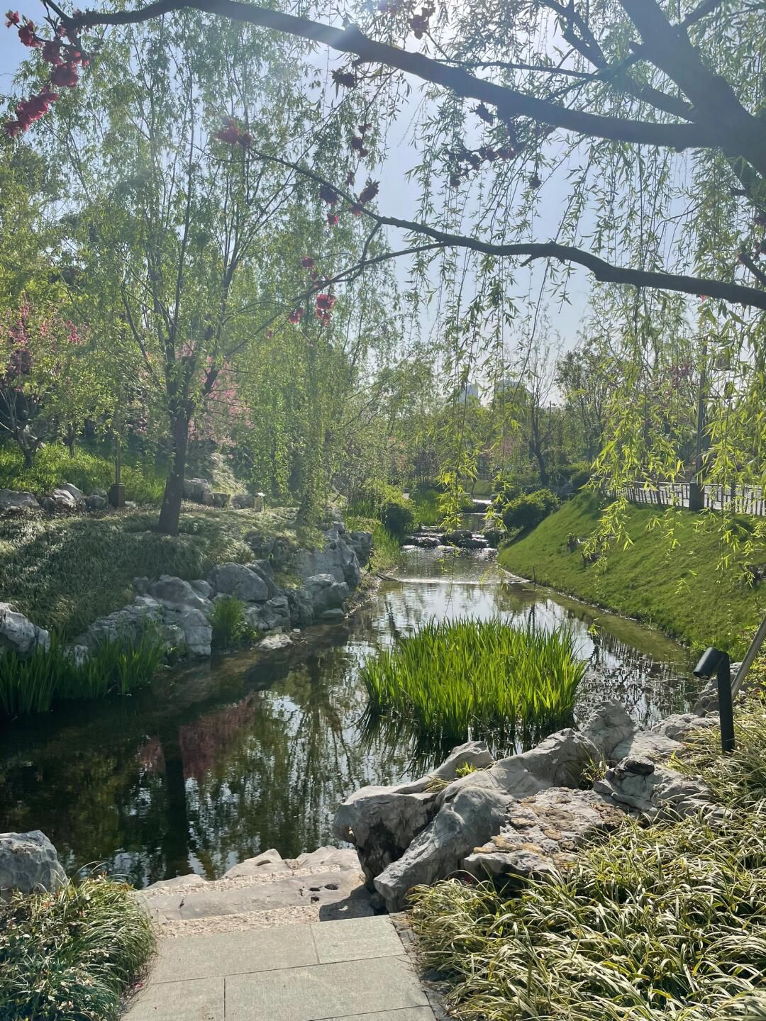 上海世博园旅行图片 2