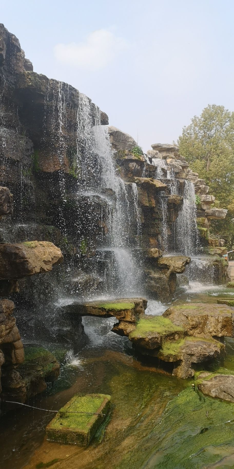 枫香湖儿童公园旅行图片 3