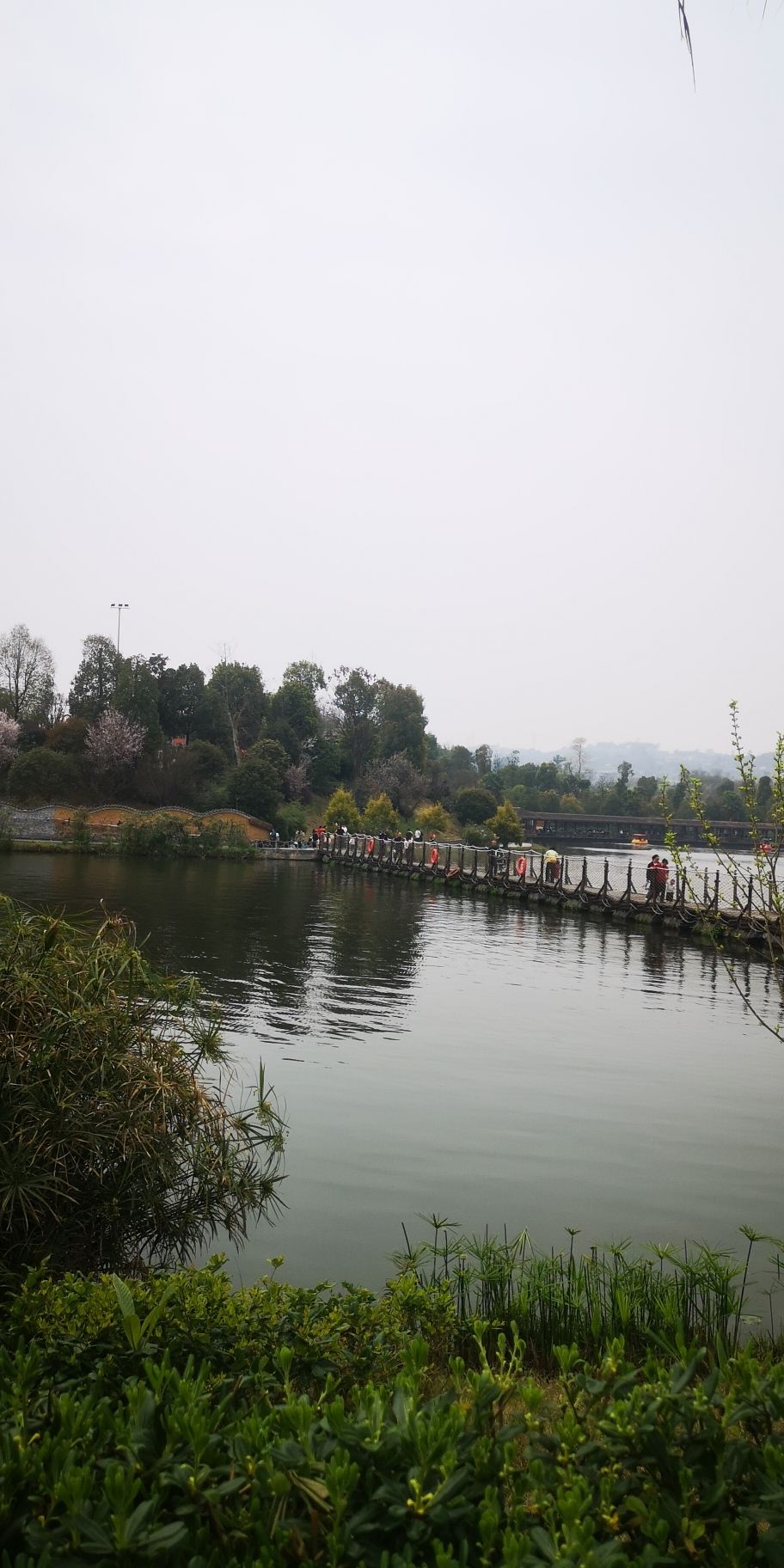 枫香湖儿童公园旅行图片 1