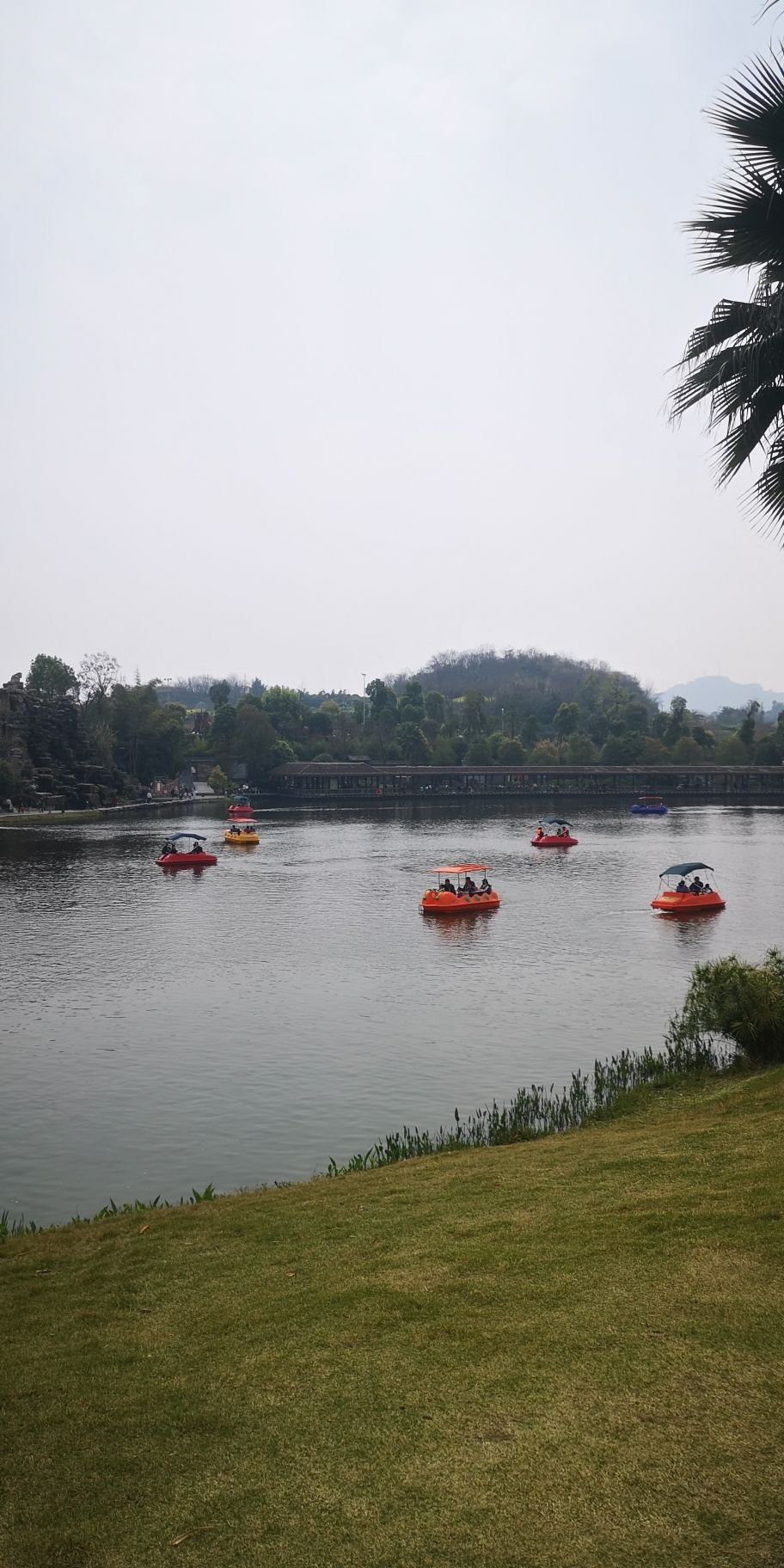 枫香湖儿童公园旅行图片 2