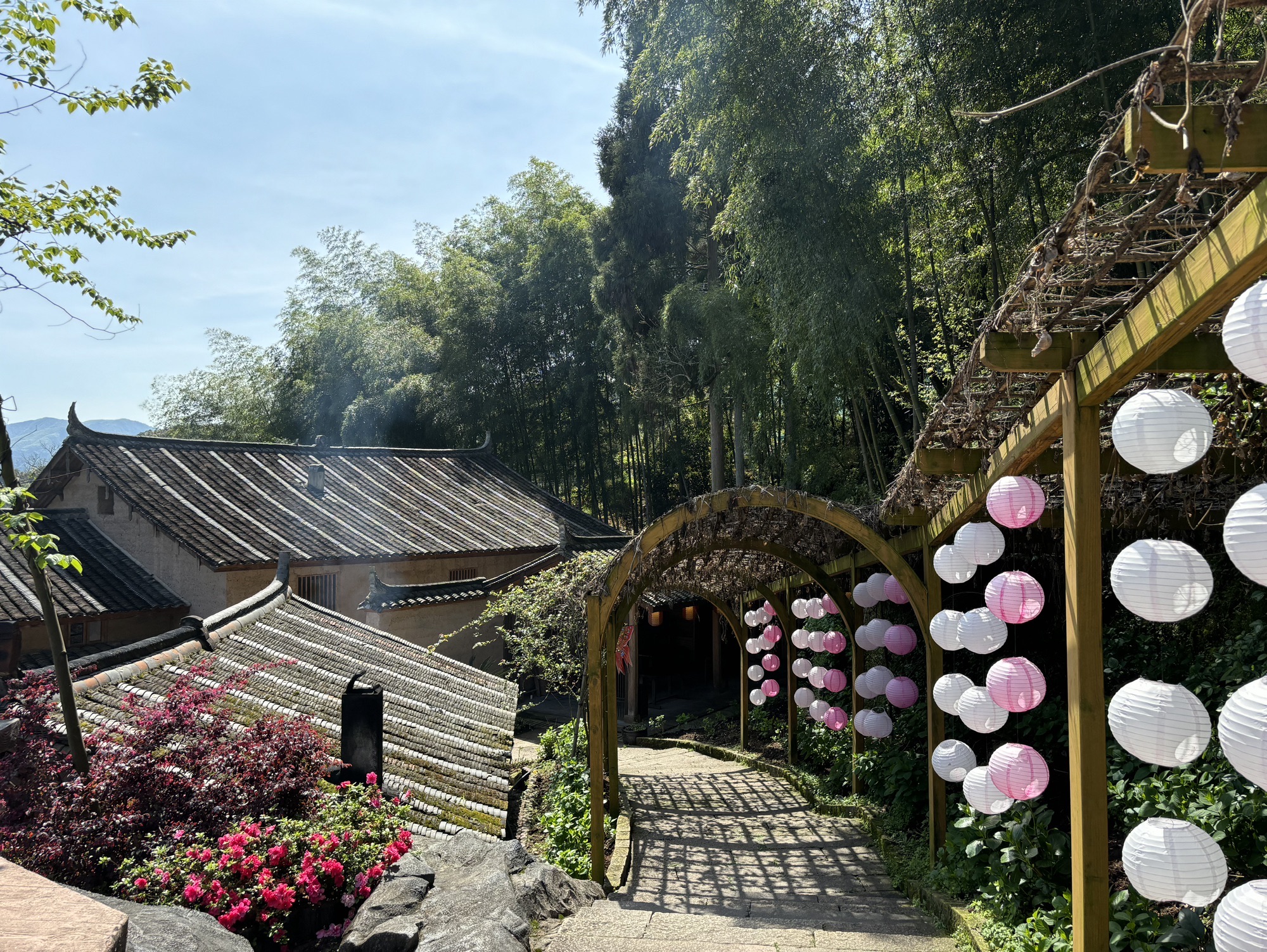 筱村公社旅行图片 1