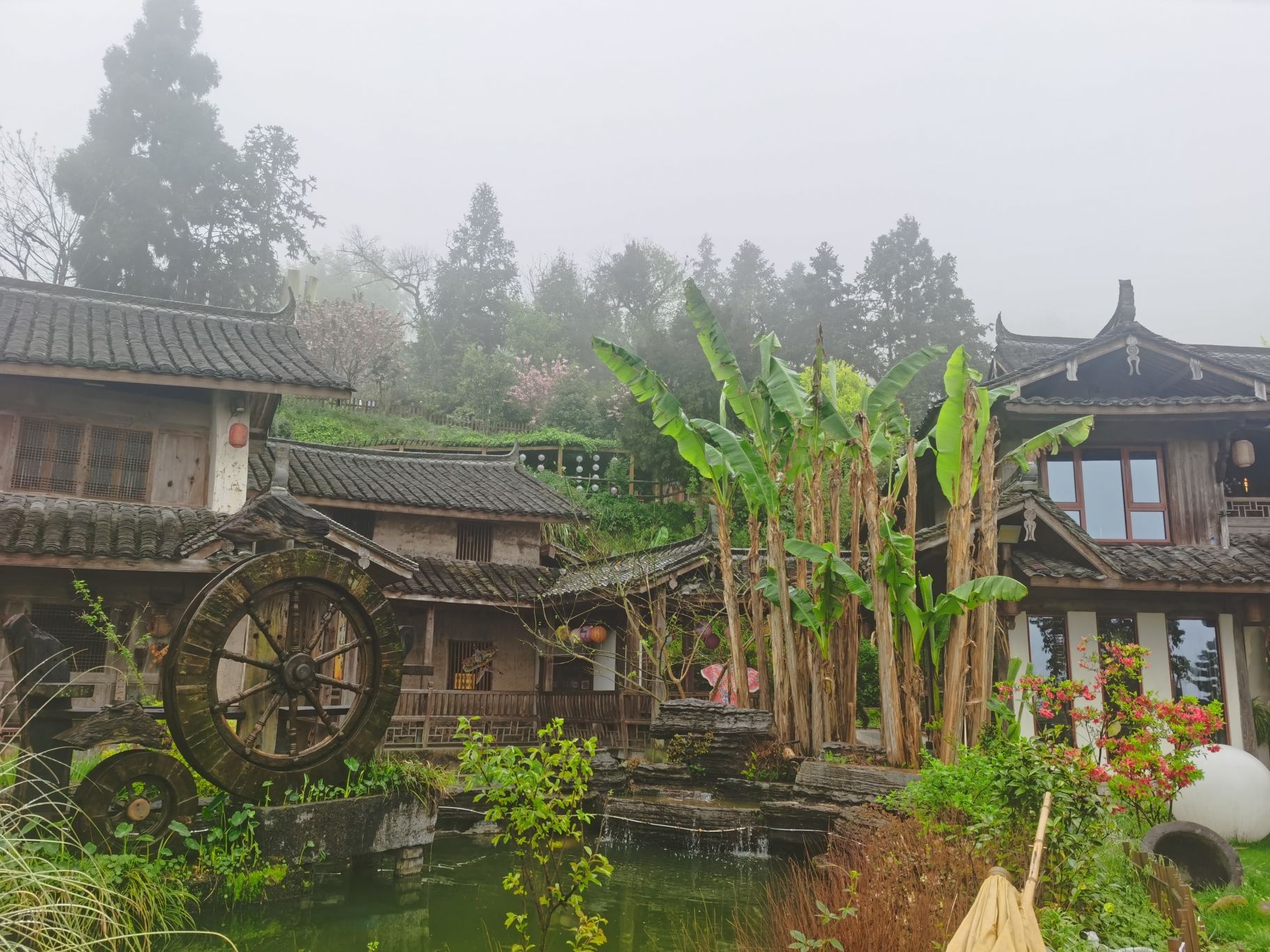 筱村公社旅行图片 3