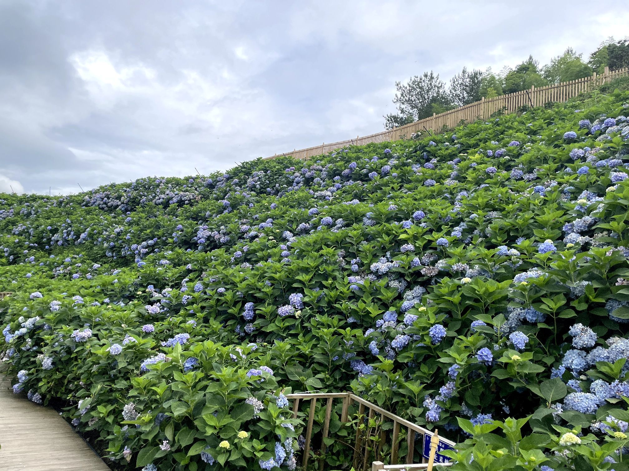 筱村公社旅行图片 2