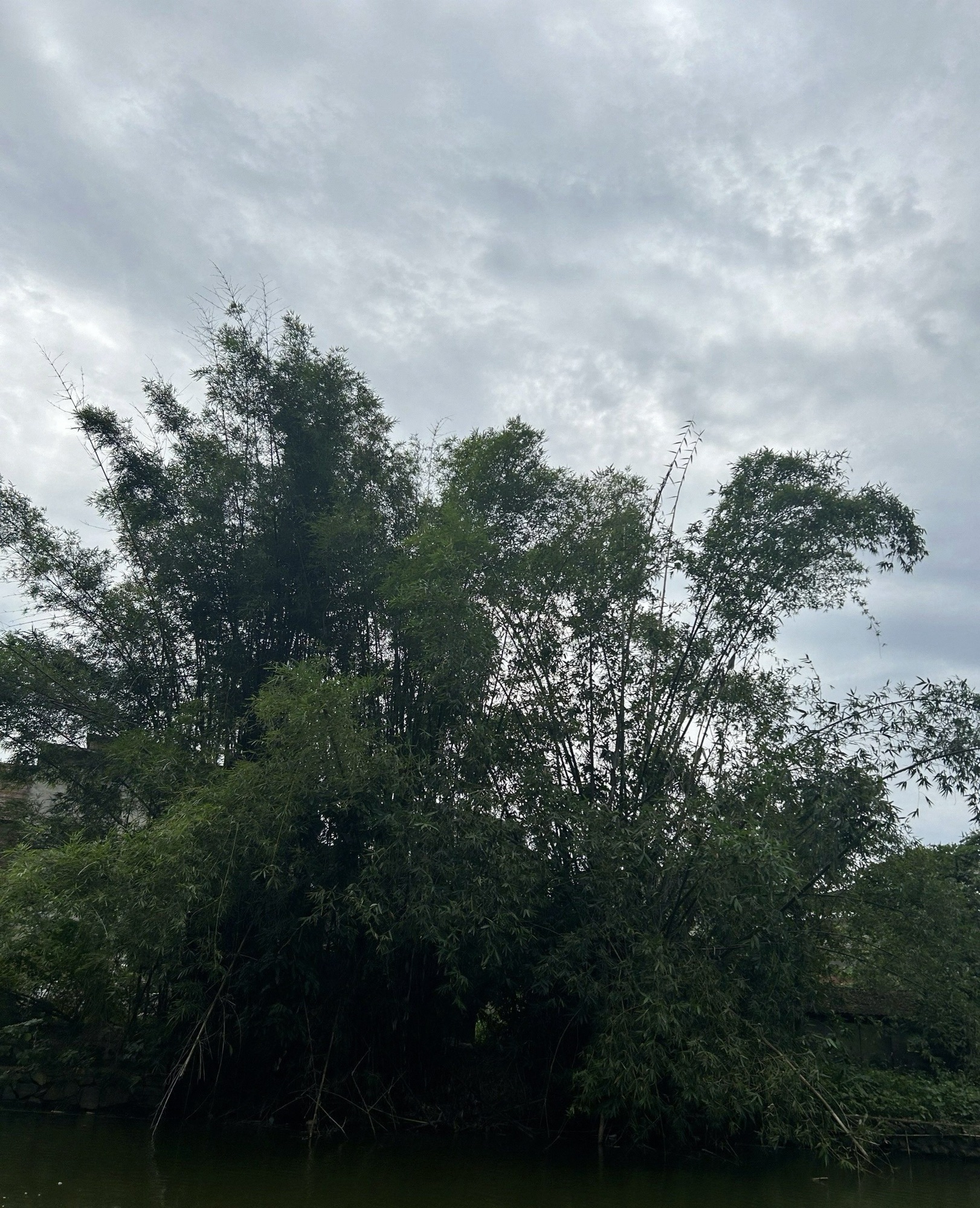 龙潭古寨景区旅行图片 3