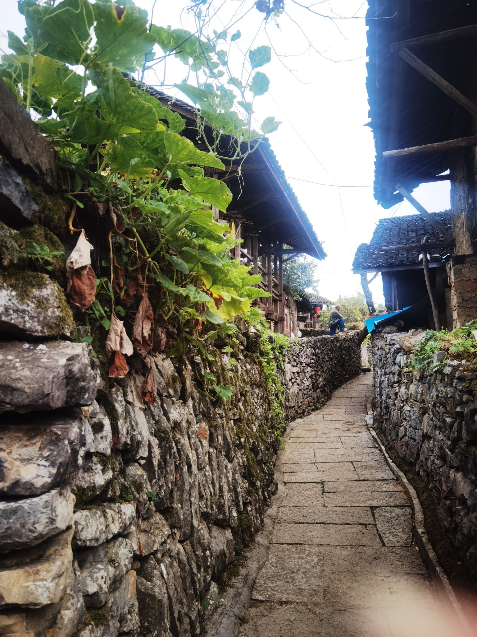 龙潭古寨景区旅行图片 1