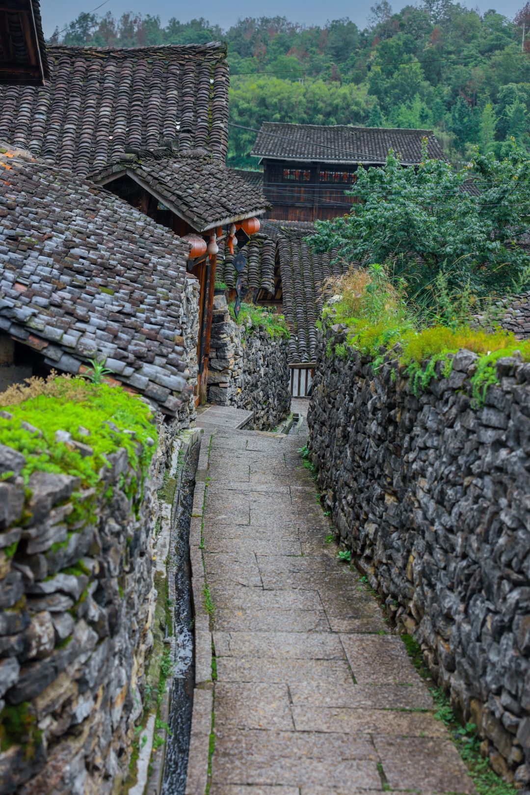龙潭古寨景区旅行图片 3