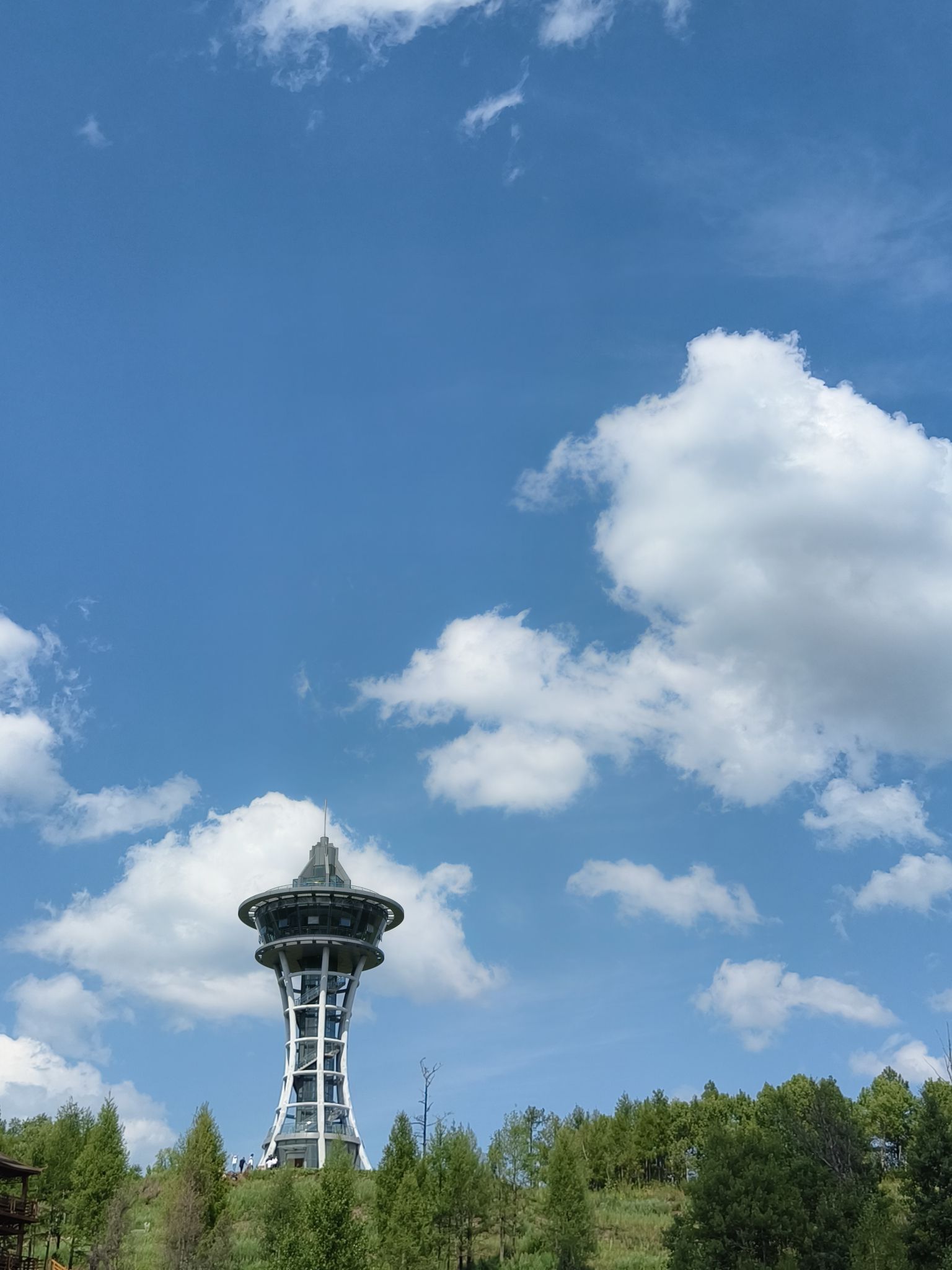 南瓮河湿地旅行图片