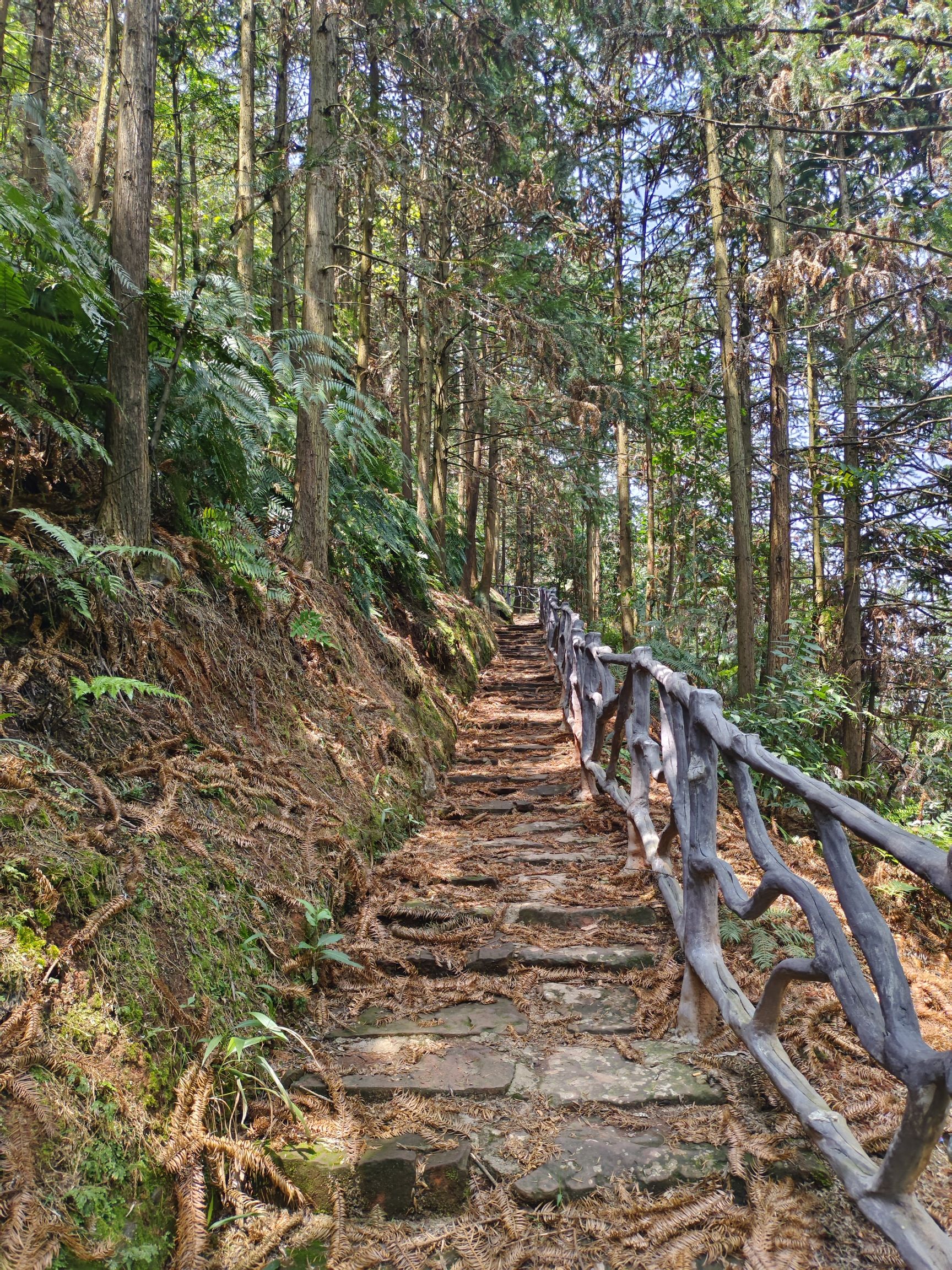 清凉洞摩崖石窟旅行图片 1