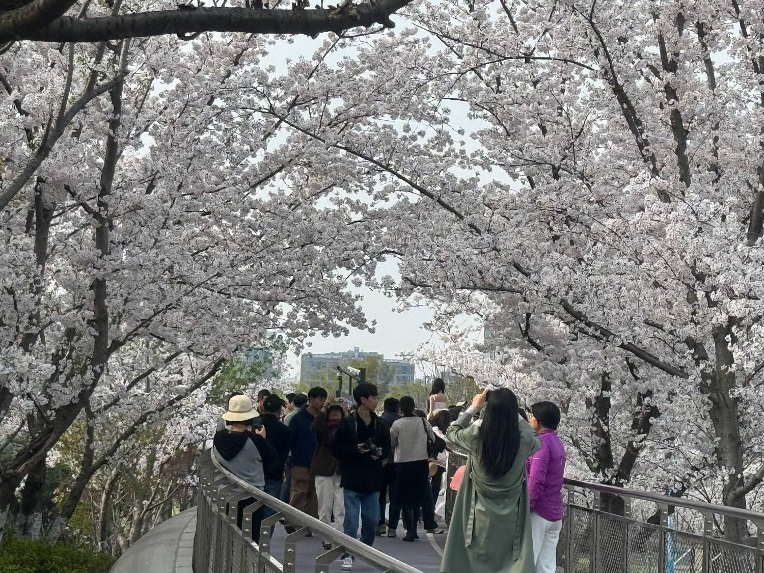 拱墅运河体育公园旅行图片 2