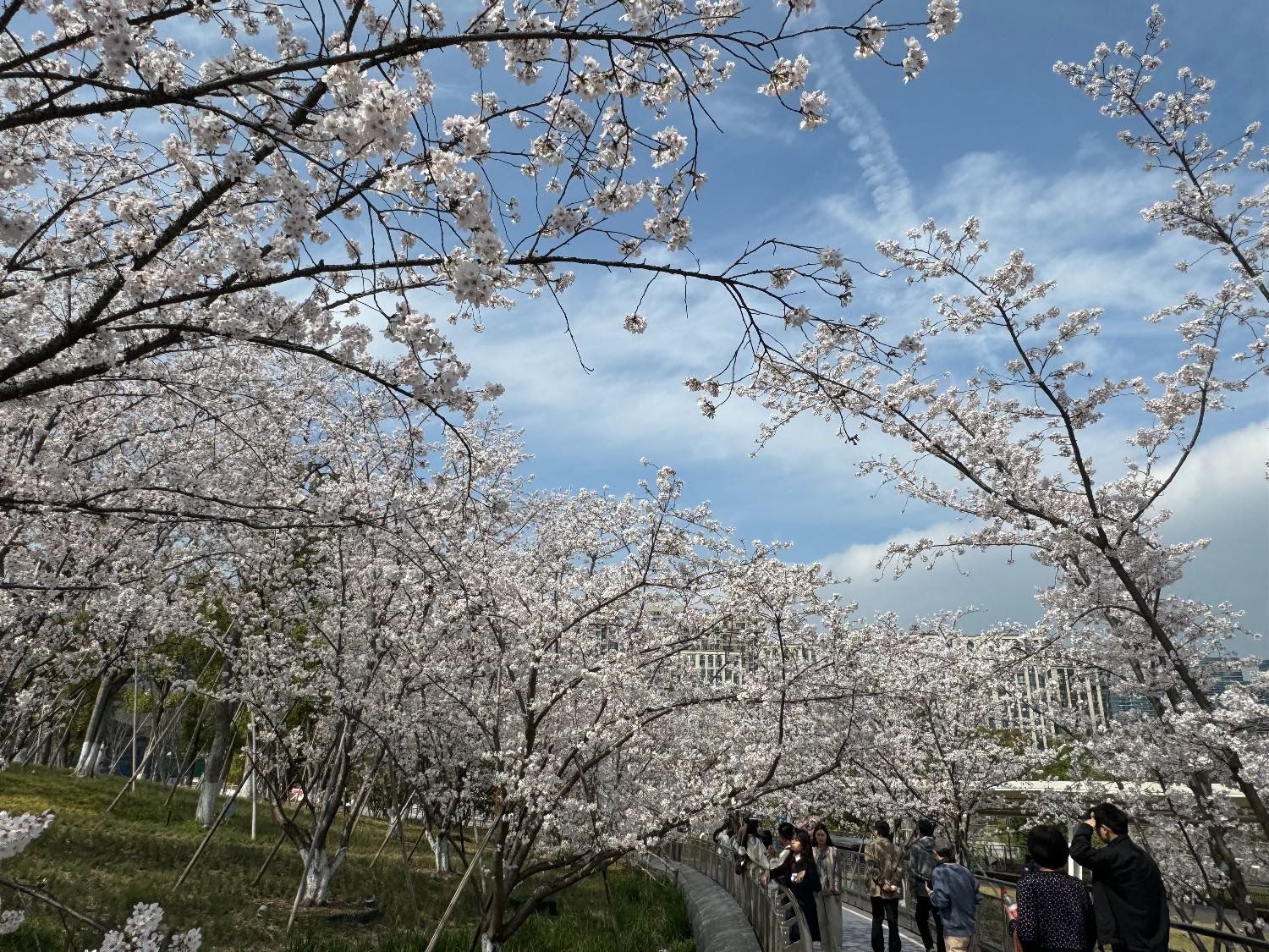 拱墅运河体育公园旅行图片 1