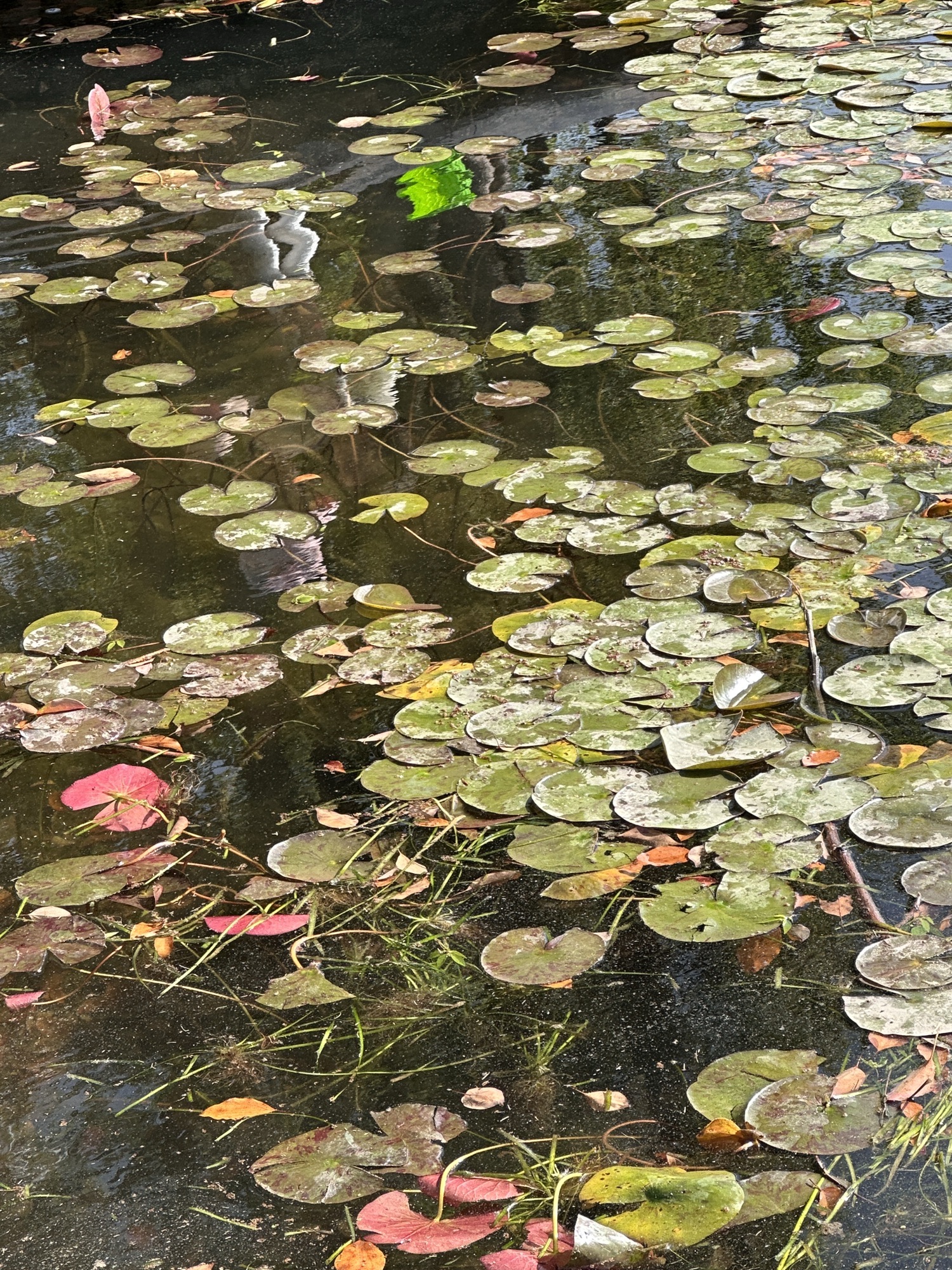 拱墅运河体育公园旅行图片 1