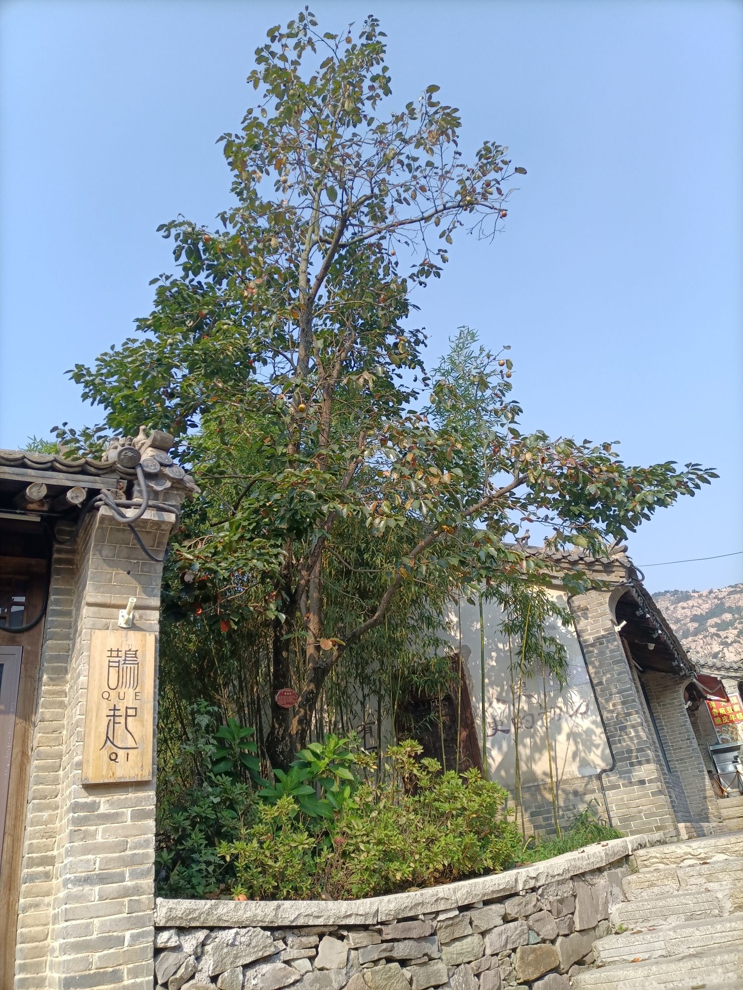 融创阿朵小镇旅行图片 3
