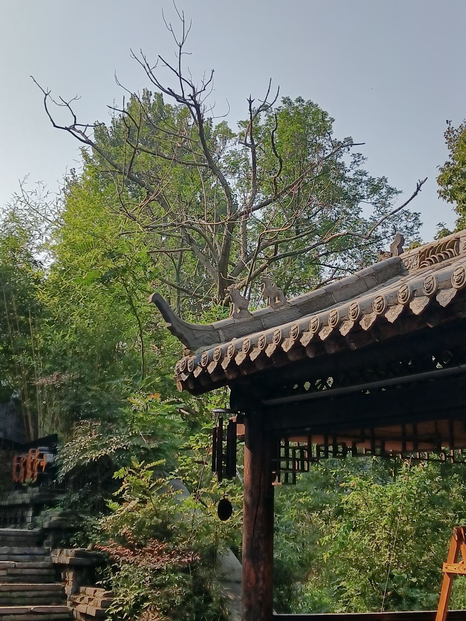 融创阿朵小镇旅行图片 2