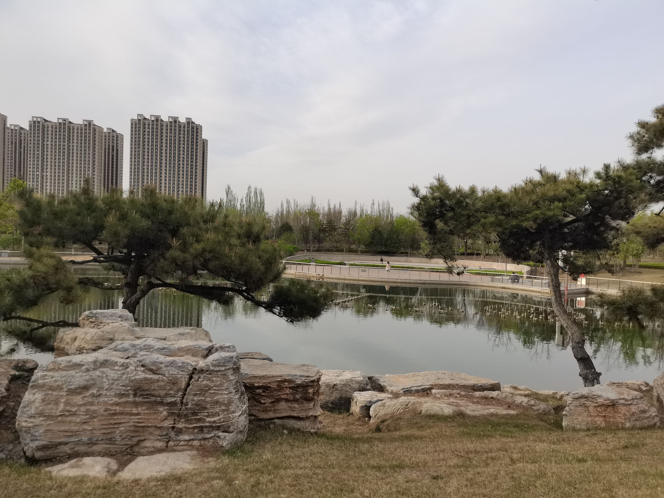 金桥公园旅行图片 3