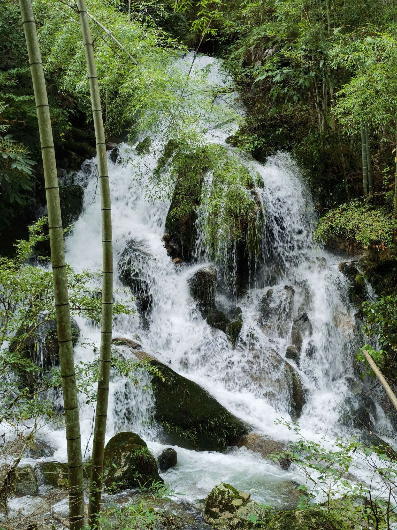阡陌村南风面旅游广场旅行图片 1