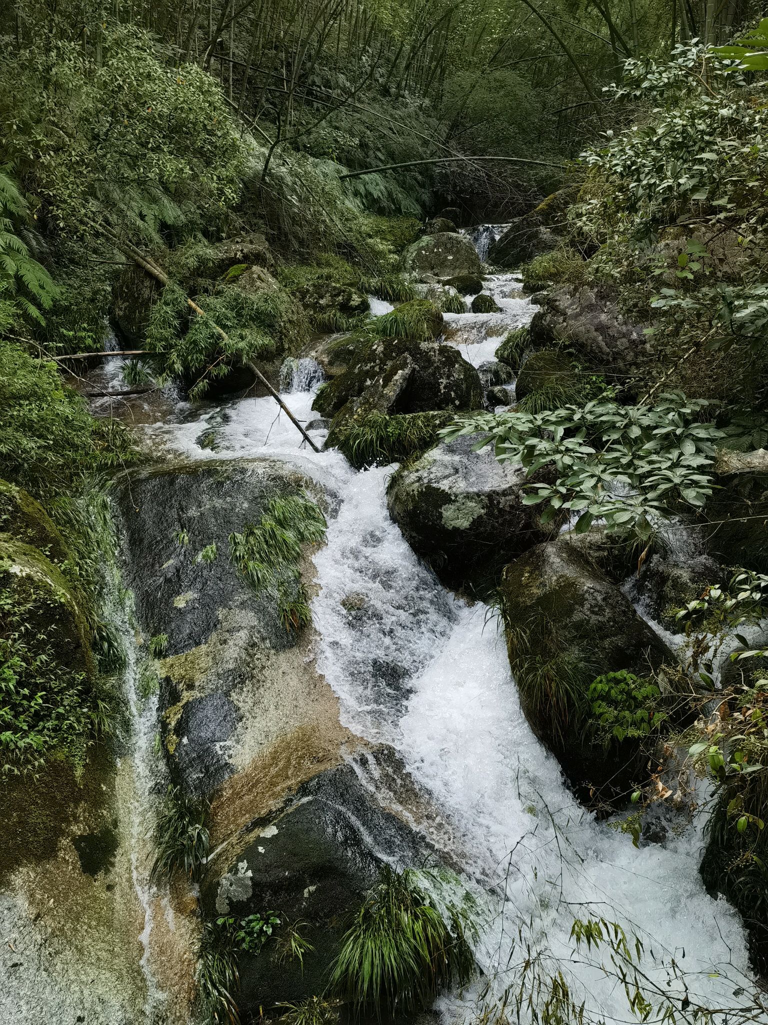 阡陌村南风面旅游广场旅行图片 2