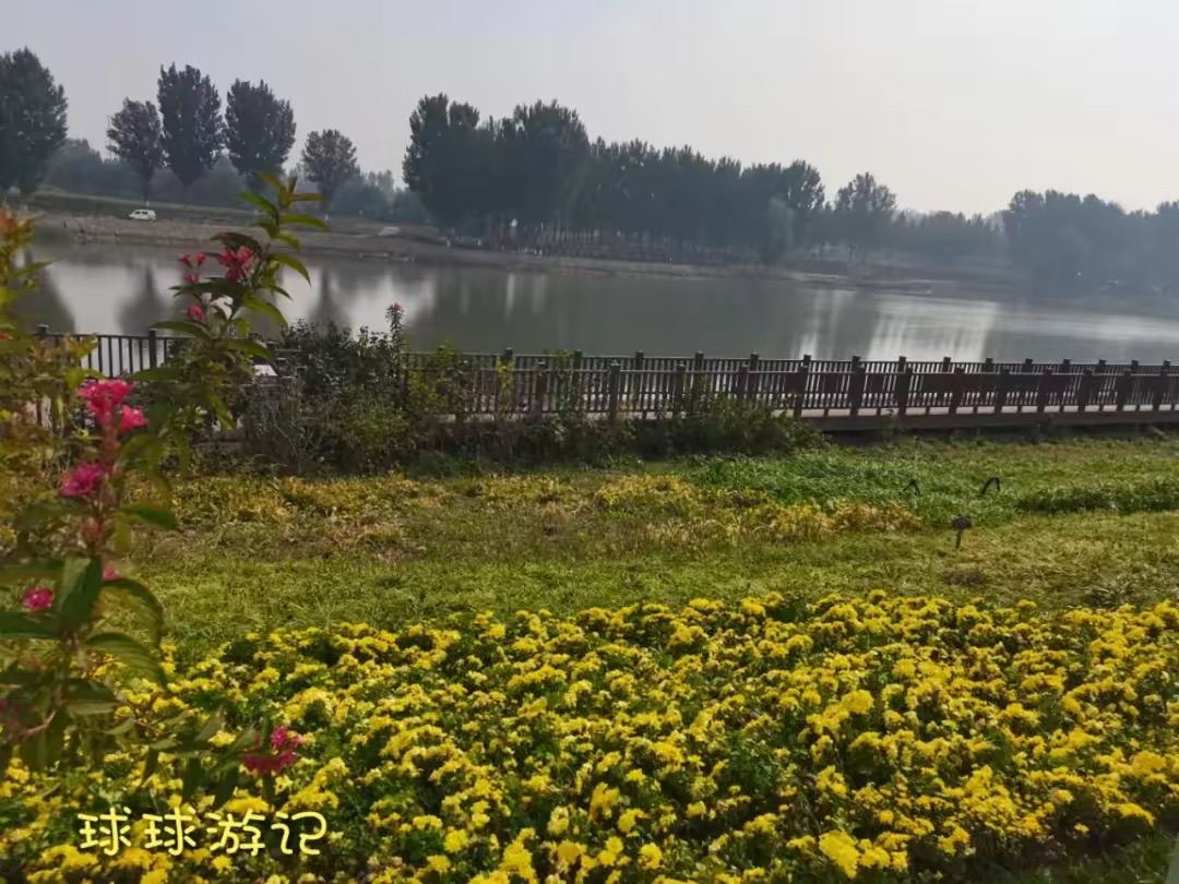 运河文化公园旅行图片 2