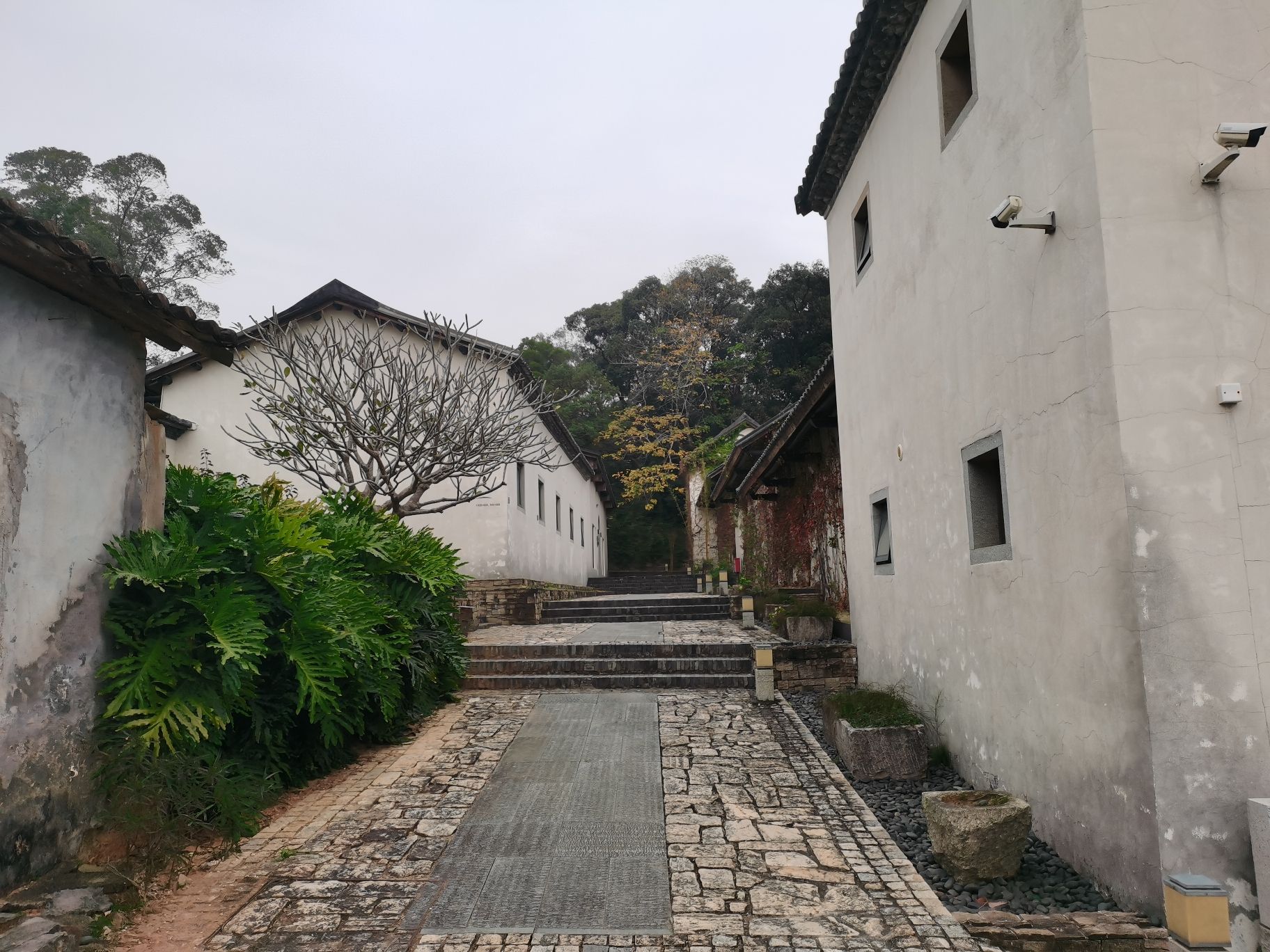 秋长谷里美愿村旅行图片 2